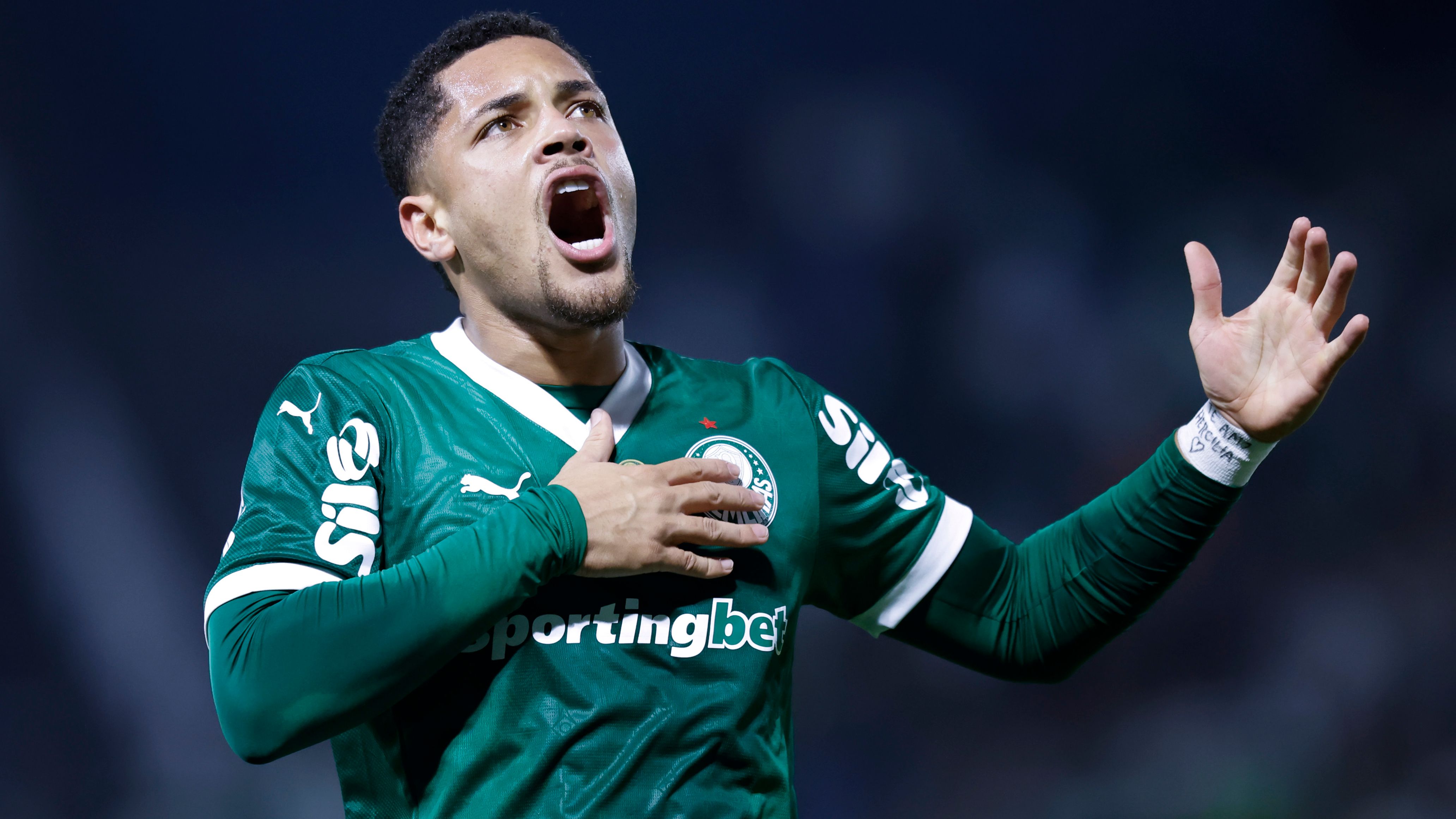 Palmeiras v Sao Paulo - Brasileirao 2025