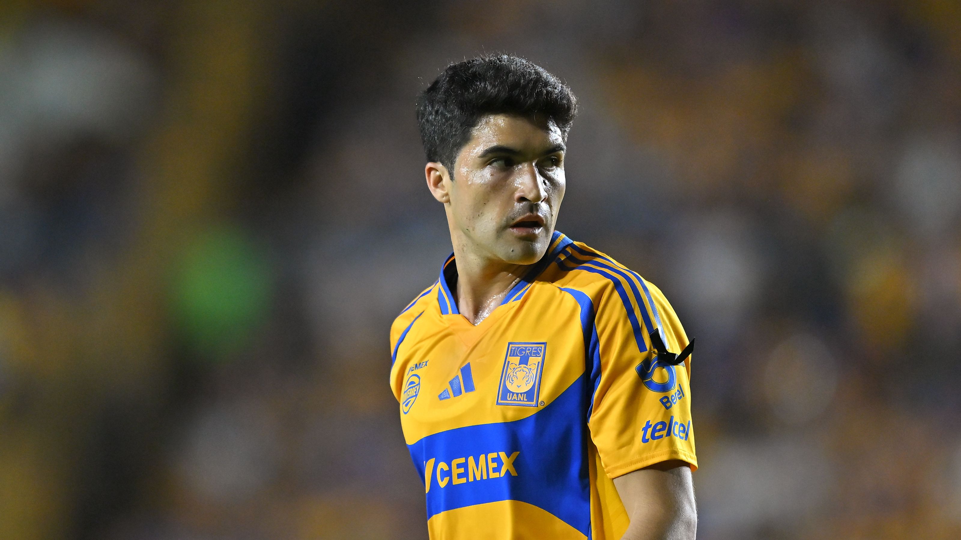 Tigres UANL v Necaxa - Playoffs Torneo Clausura 2025 Liga MX