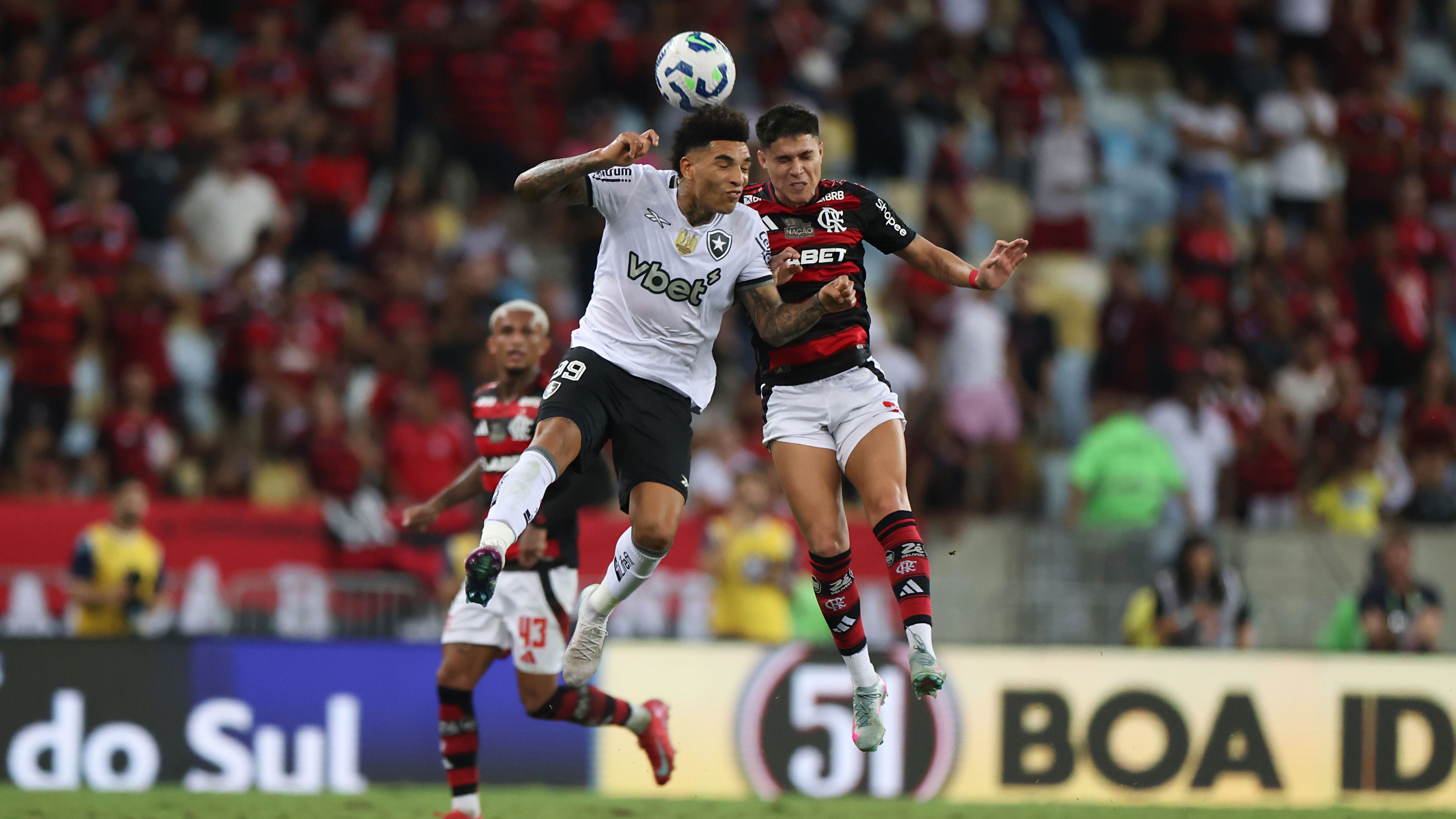 Flamengo v Botafogo - Brasileirao 2025