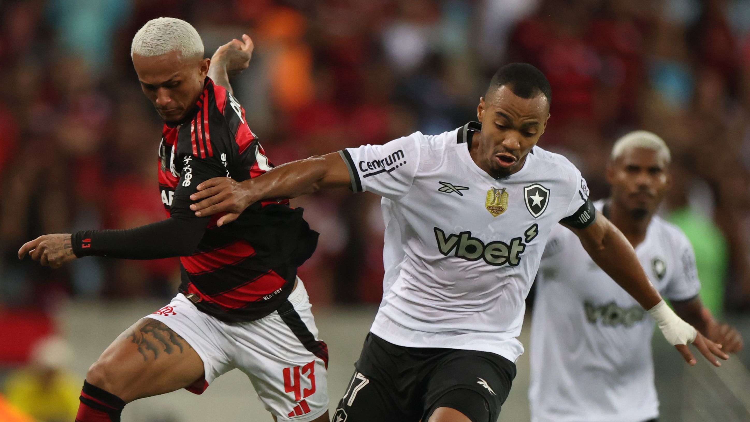 Flamengo v Botafogo - Brasileirao 2025