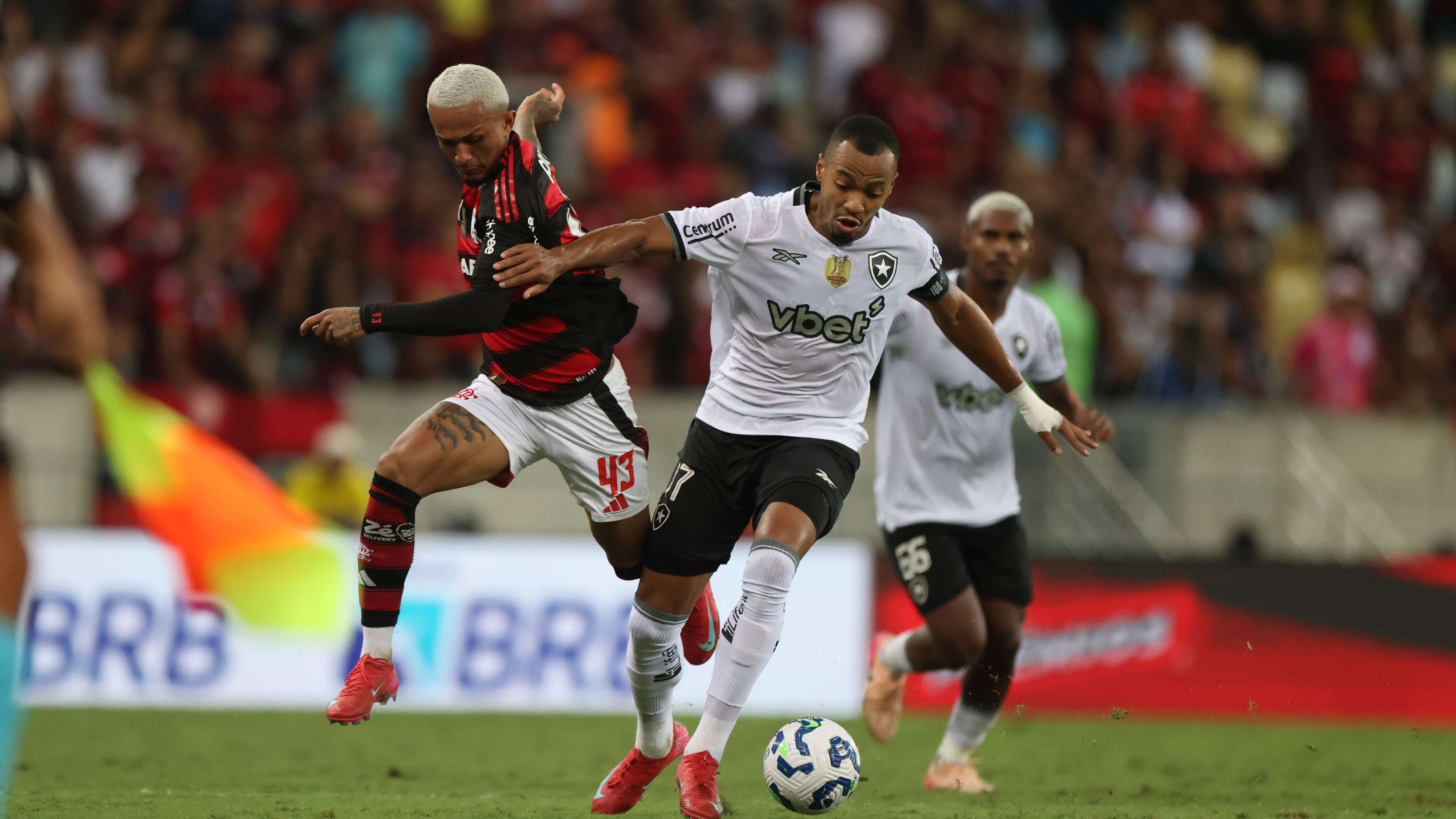 Flamengo v Botafogo - Brasileirao 2025