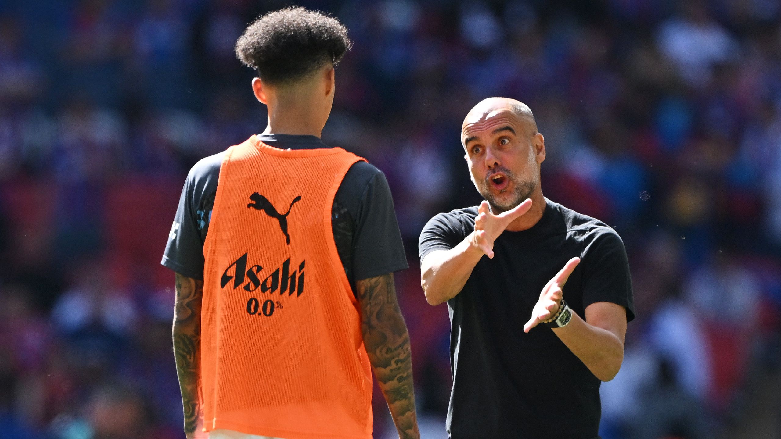 Crystal Palace v Manchester City - Emirates FA Cup Final