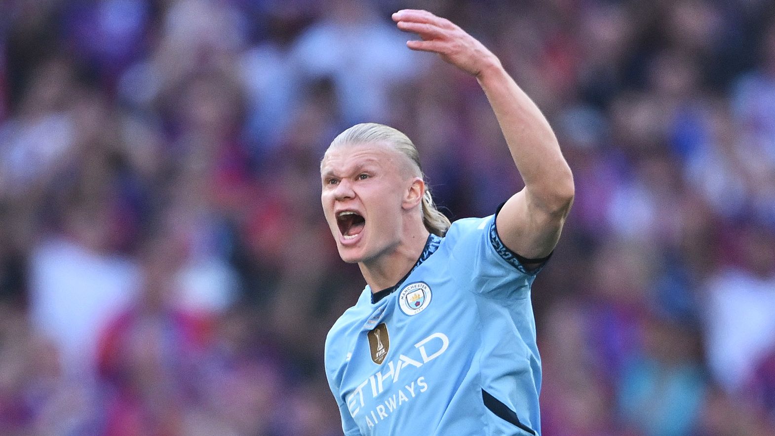 Crystal Palace v Manchester City - Emirates FA Cup Final