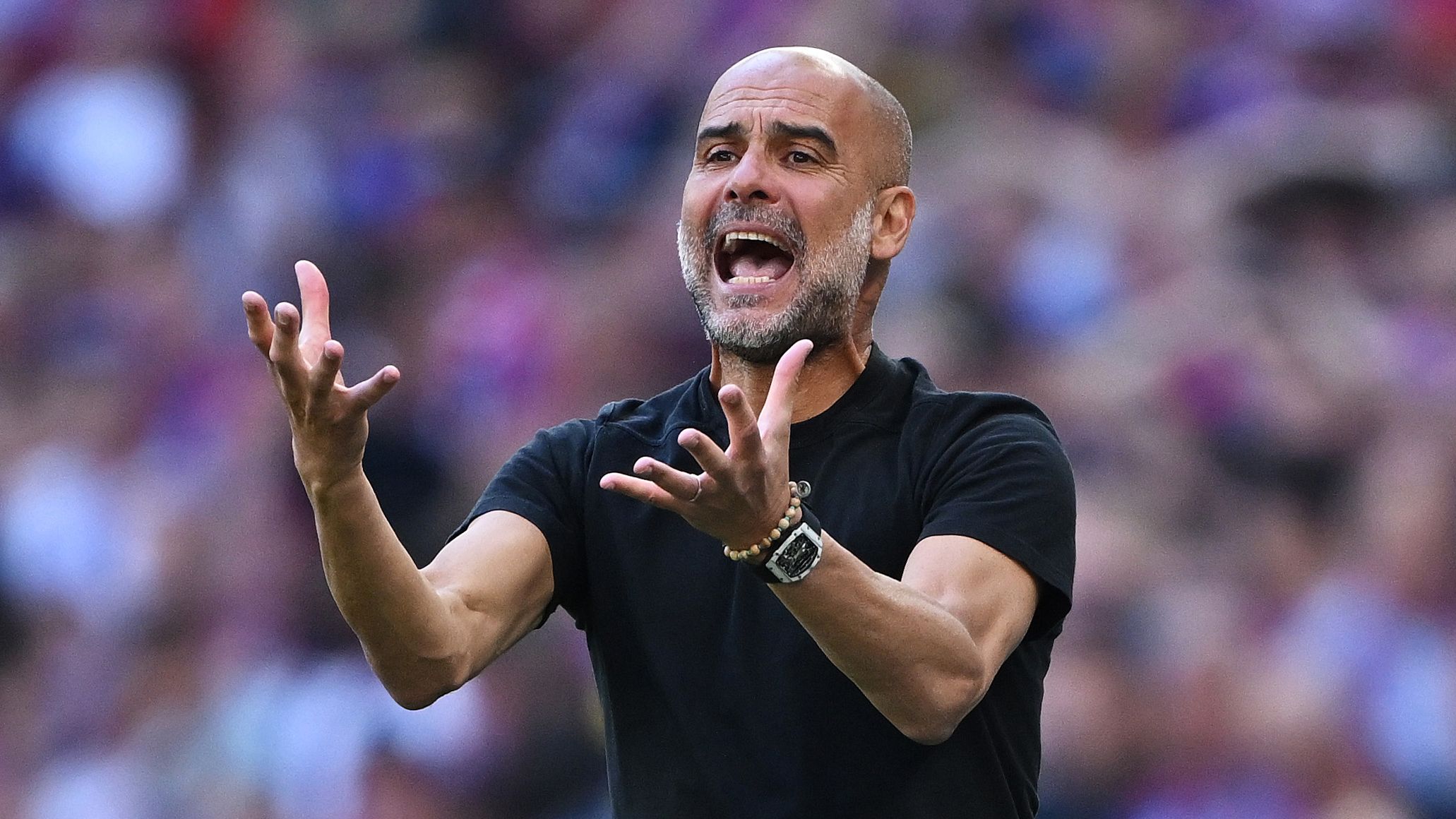 Crystal Palace v Manchester City - Emirates FA Cup Final