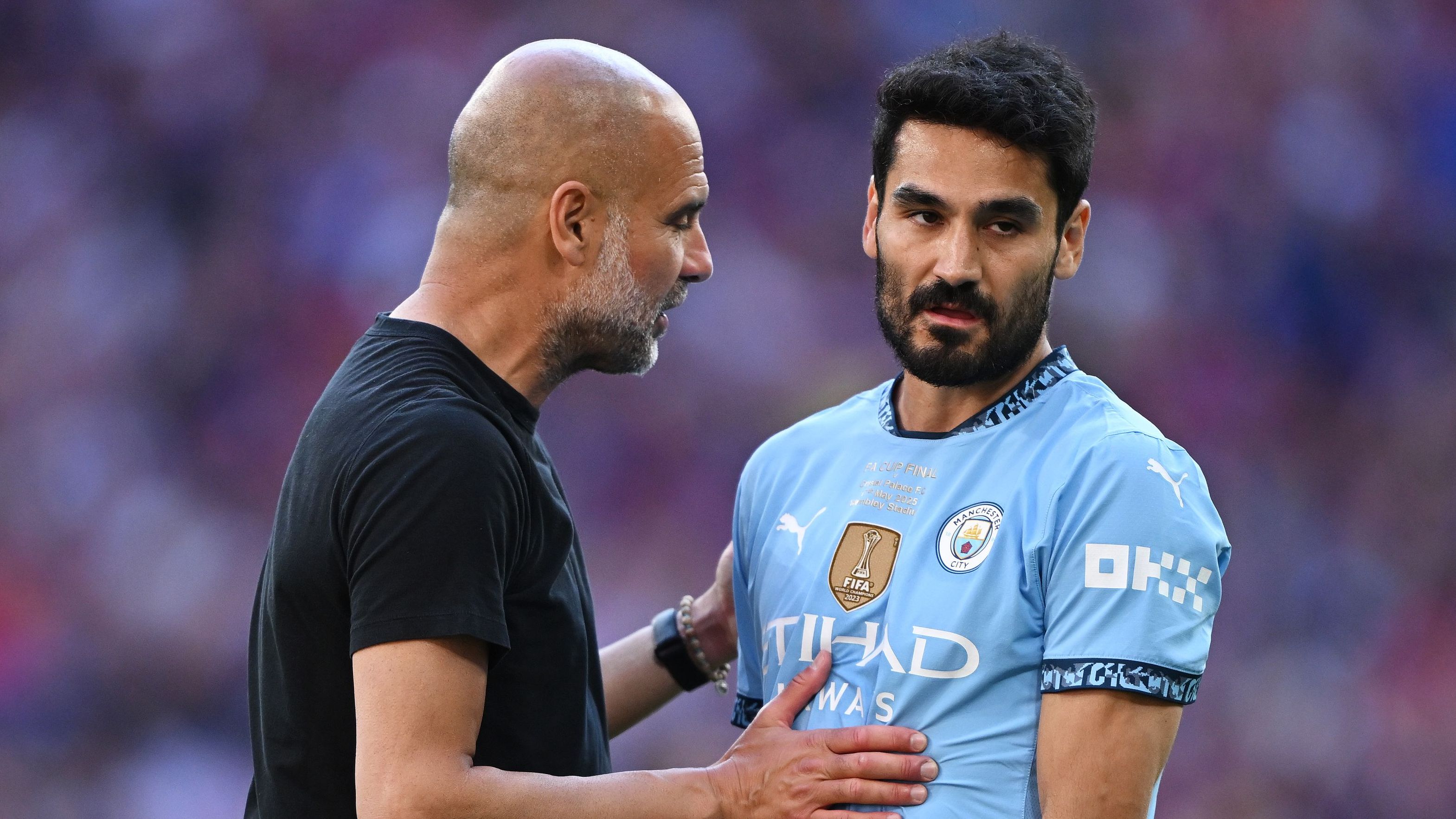 Crystal Palace v Manchester City - Emirates FA Cup Final