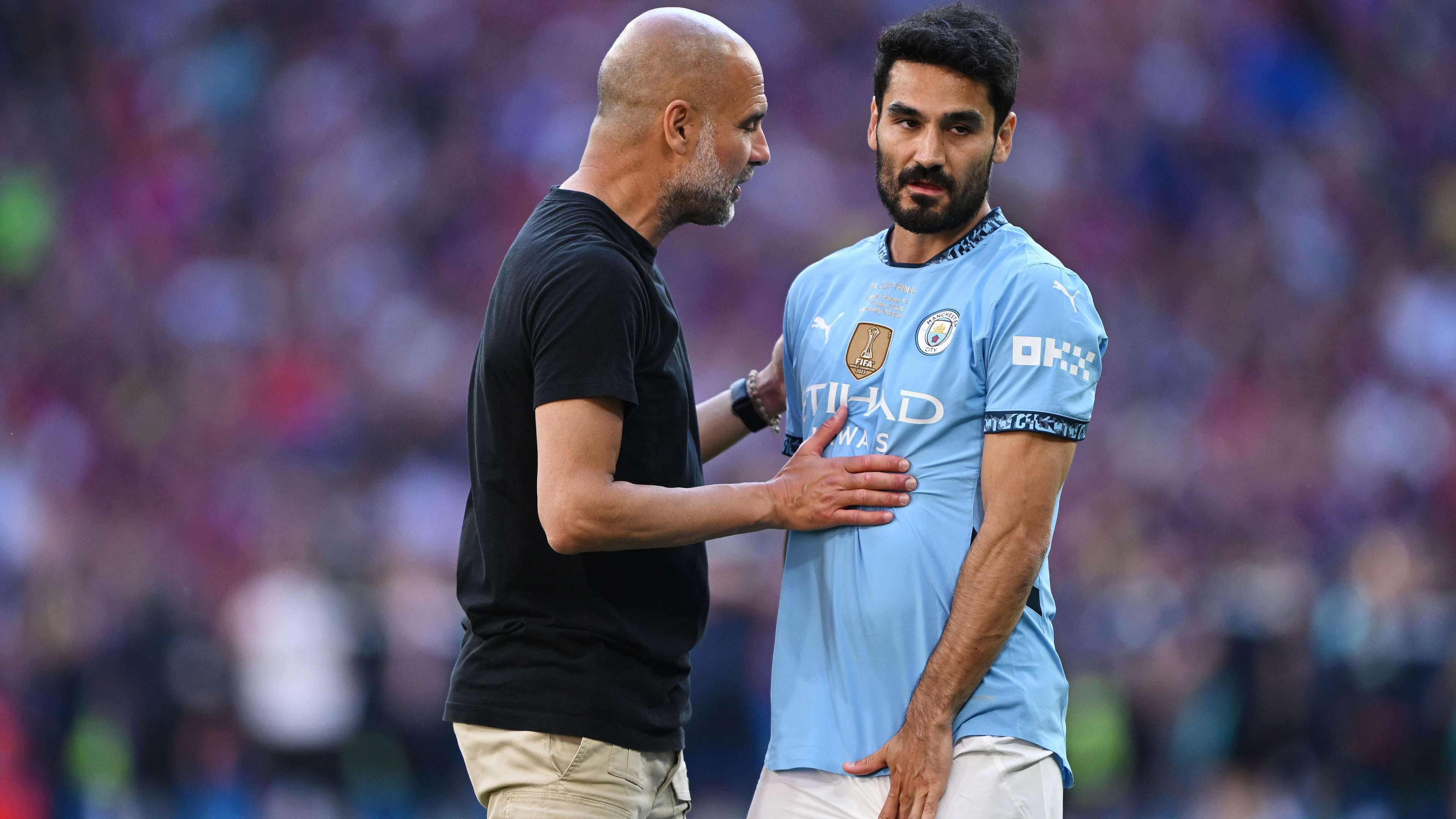 Crystal Palace v Manchester City - Emirates FA Cup Final