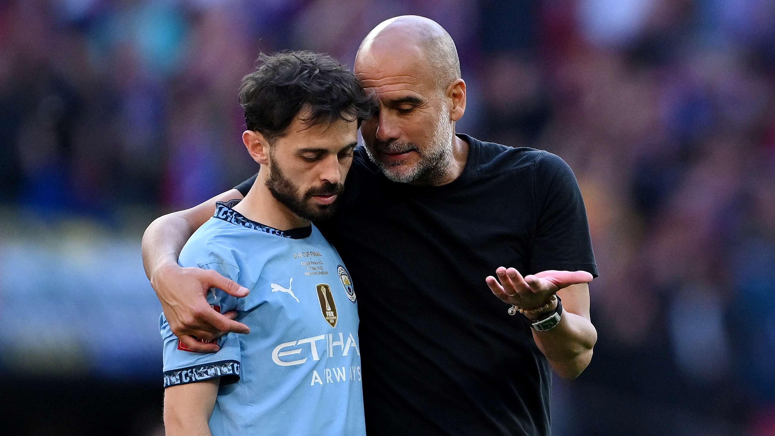Crystal Palace v Manchester City - Emirates FA Cup Final