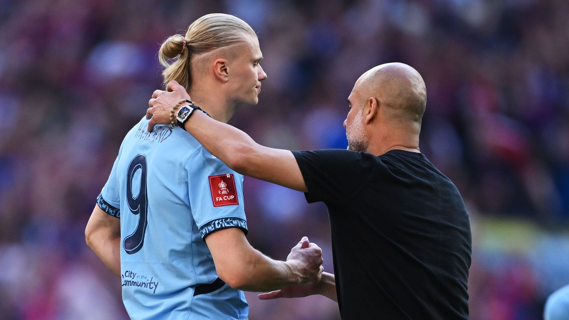 Crystal Palace v Manchester City - Emirates FA Cup Final
