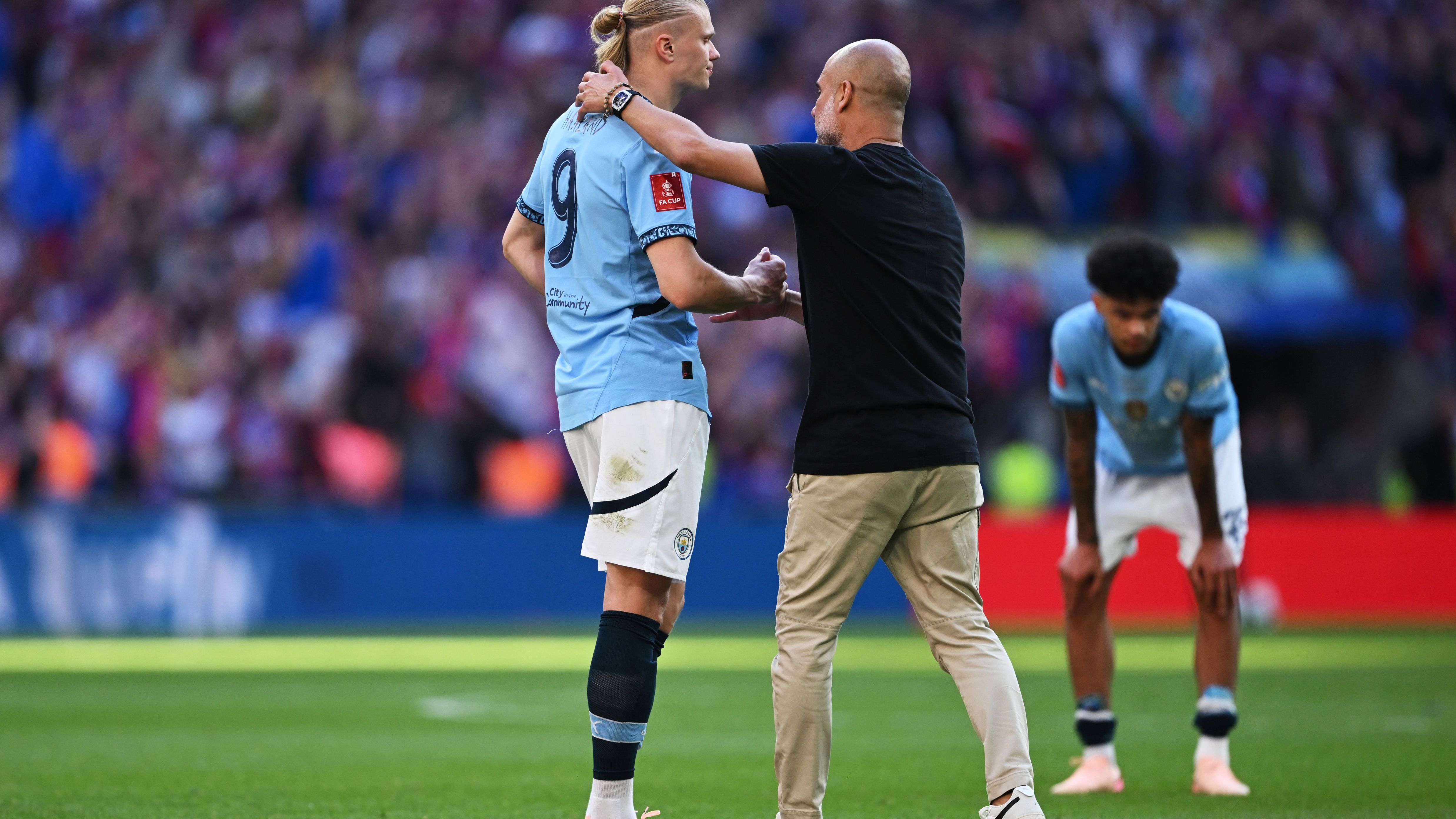 Crystal Palace v Manchester City - Emirates FA Cup Final