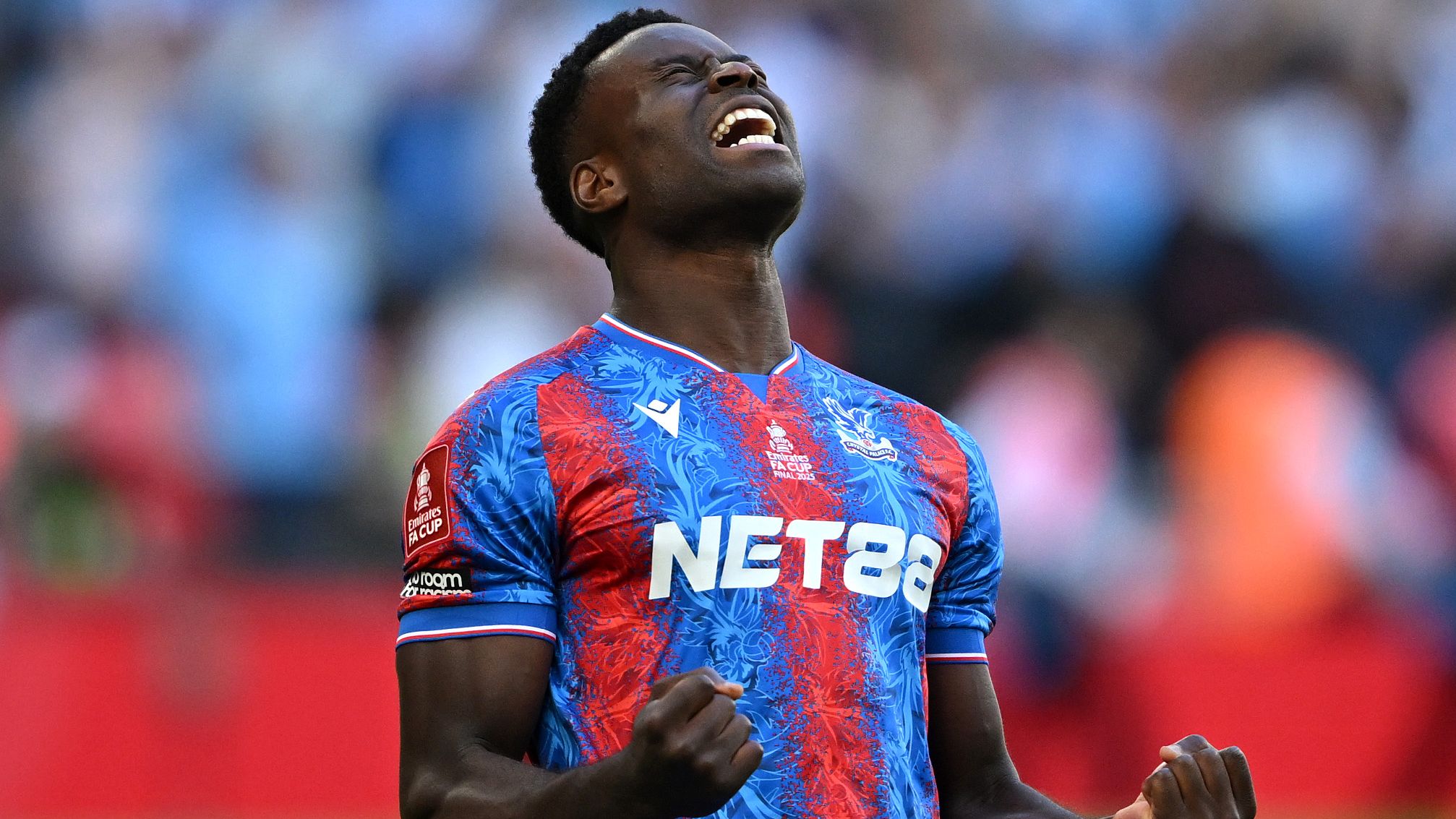 Crystal Palace v Manchester City - Emirates FA Cup Final