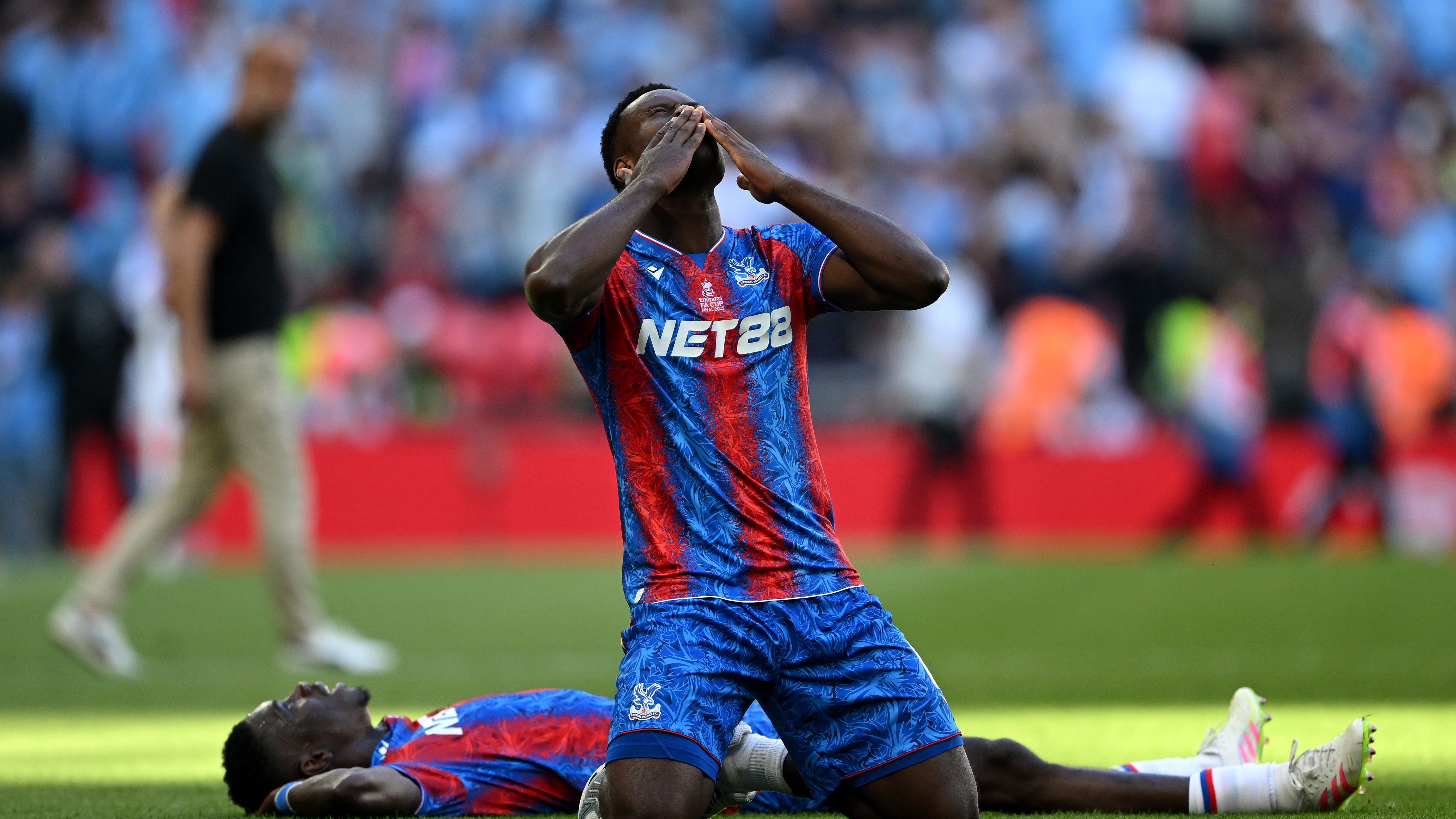 Crystal Palace v Manchester City - Emirates FA Cup Final