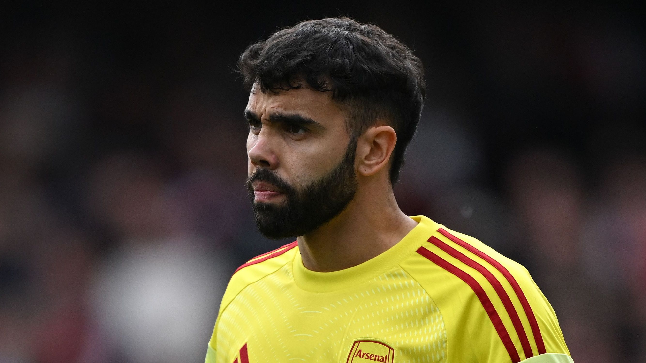 Arsenal FC v Newcastle United FC - Premier League