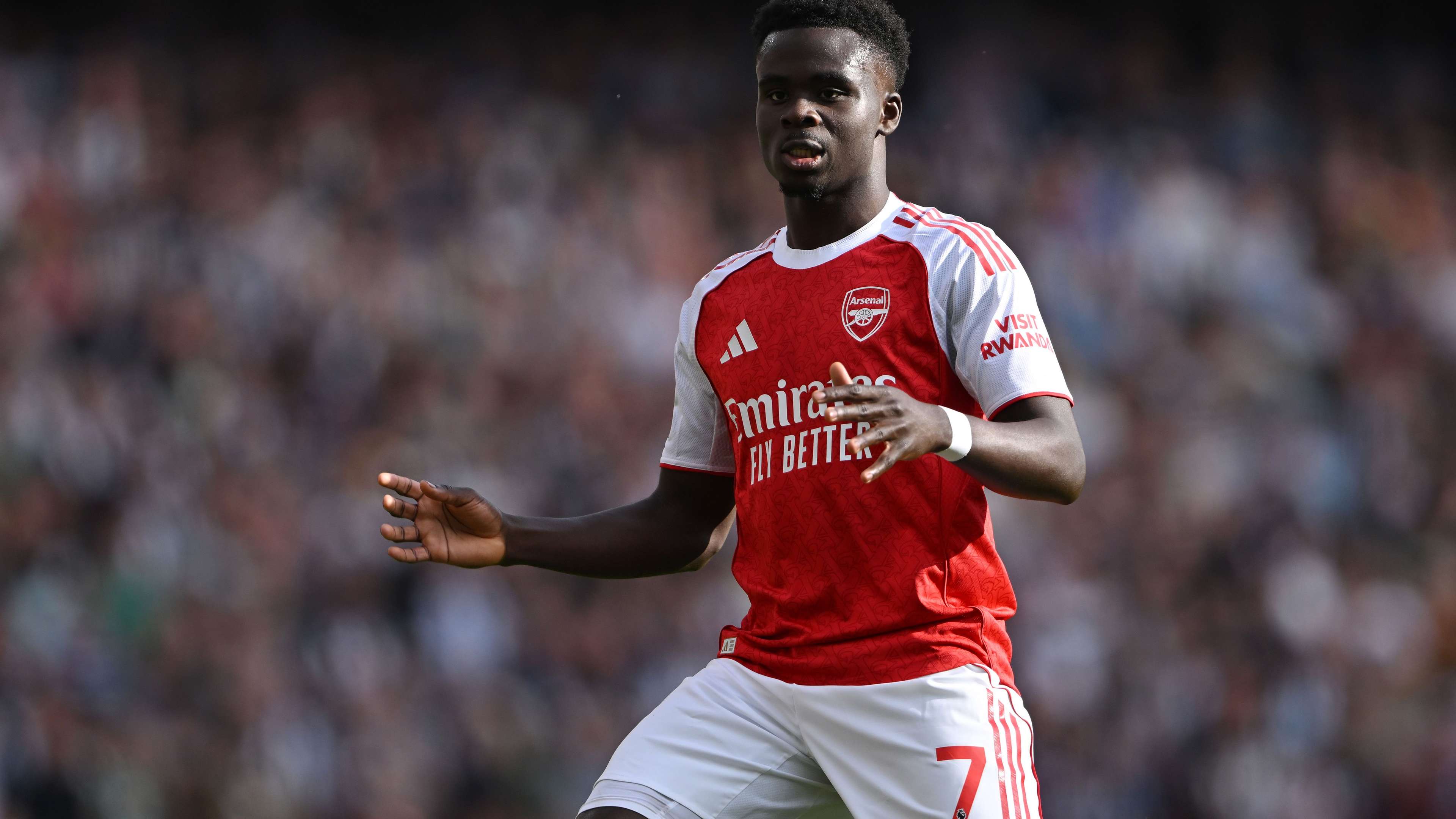 Arsenal FC v Newcastle United FC - Premier League