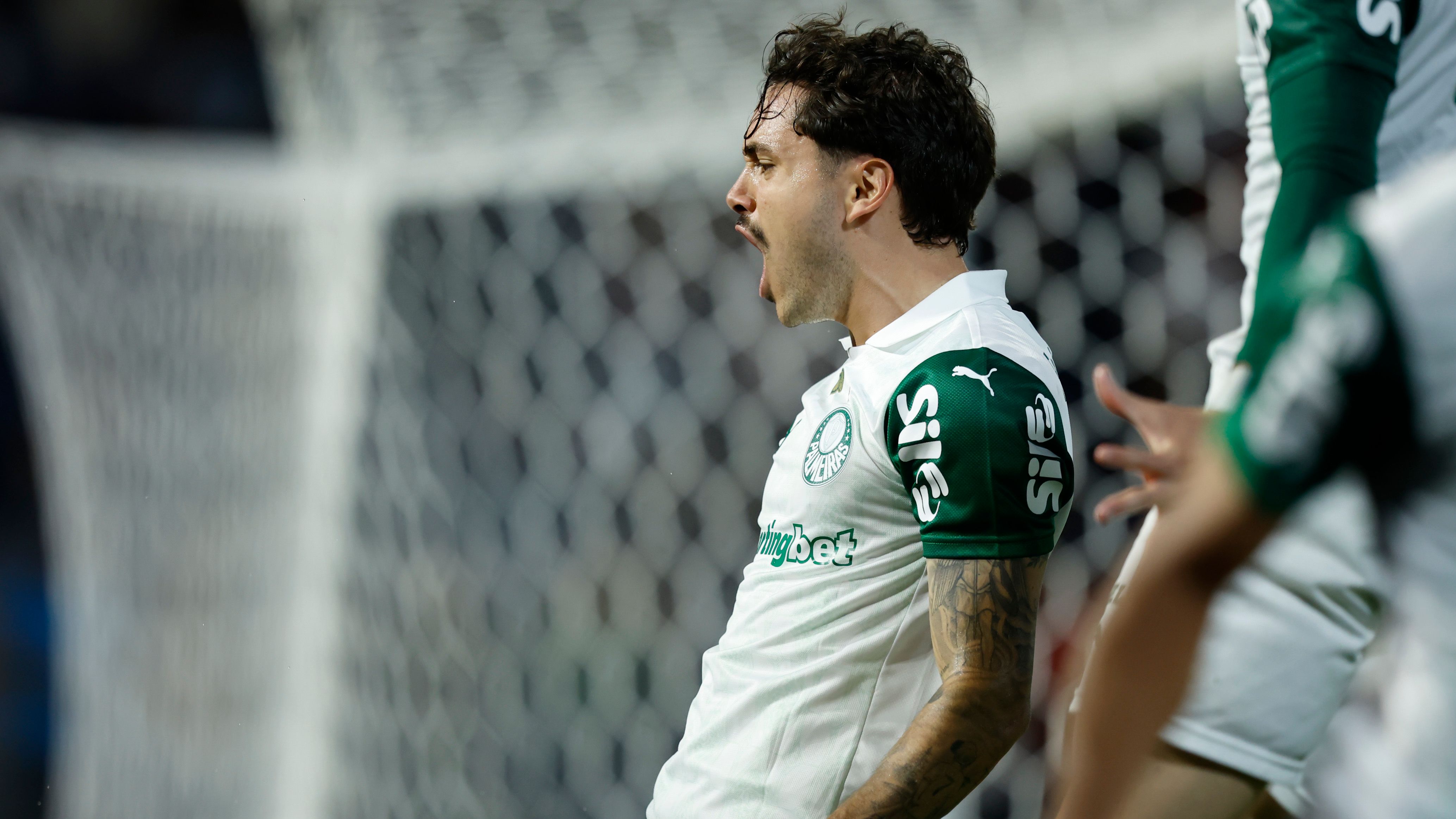 Bragantino v Palmeiras - Brasileirao 2025