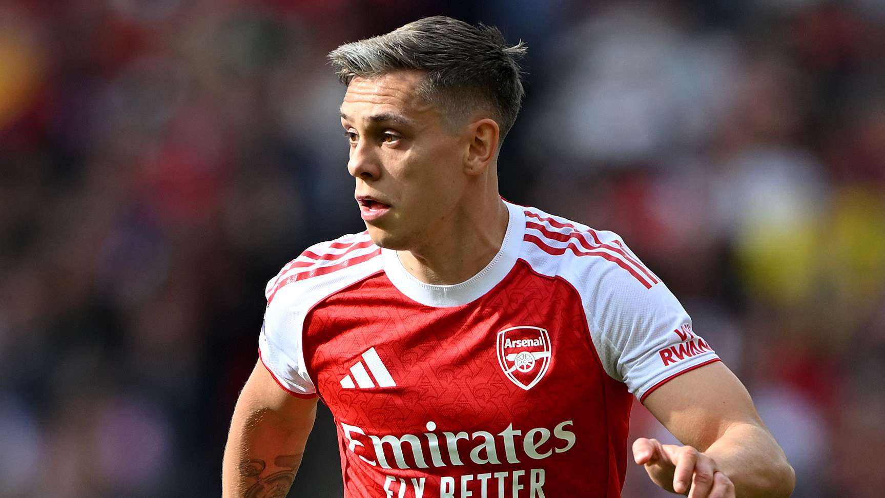 Arsenal FC v Newcastle United FC - Premier League