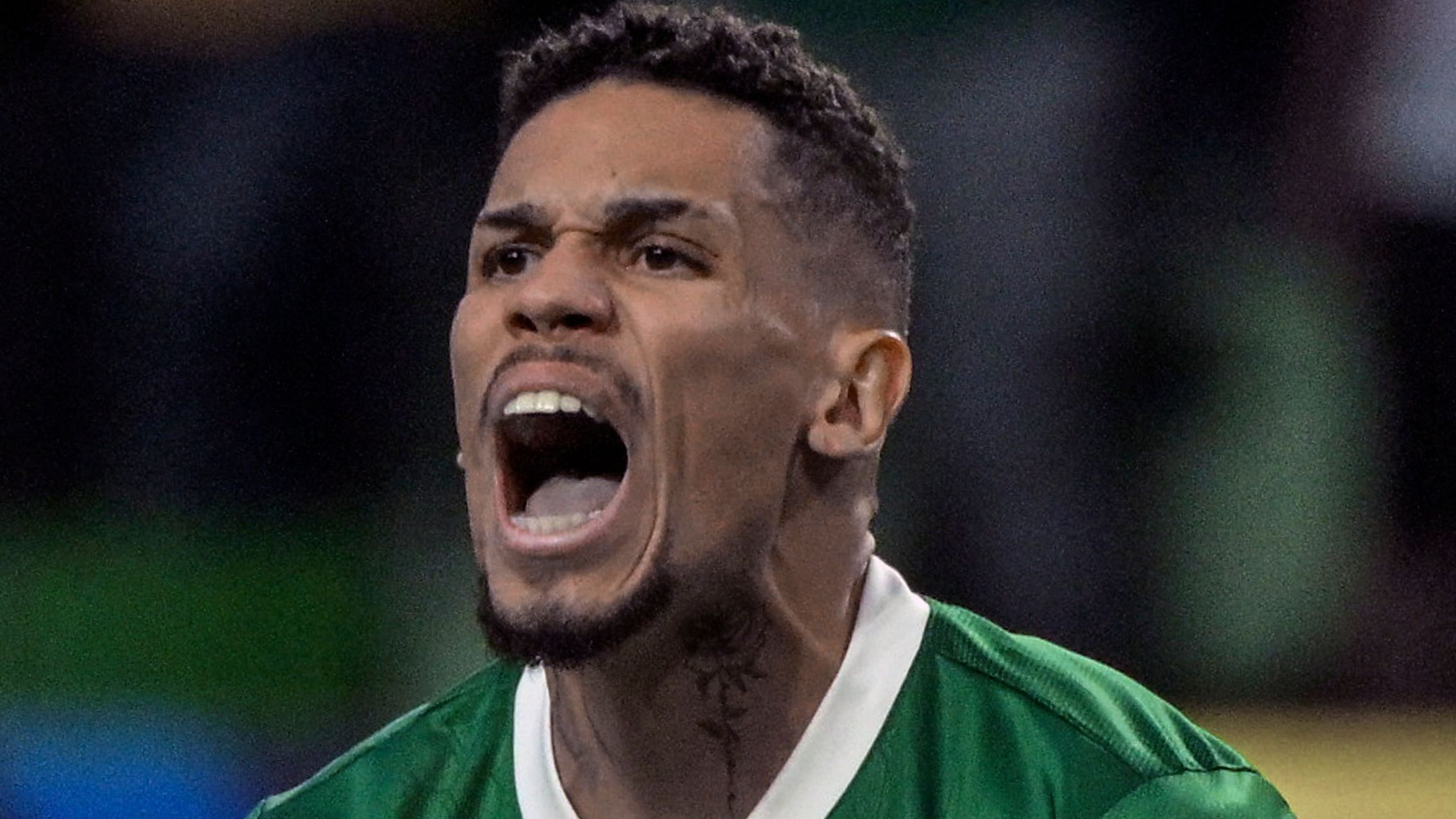 FBL-BRA-PALMEIRAS-FLAMENGO