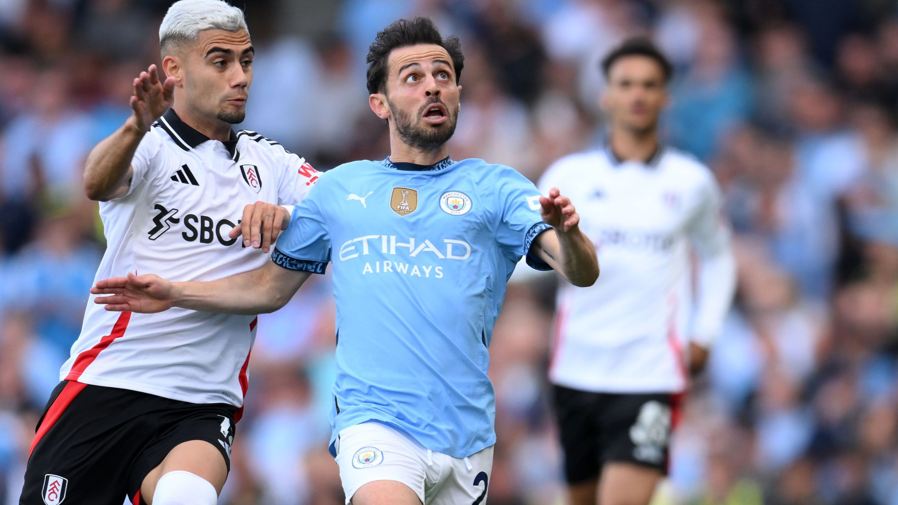 Fulham FC v Manchester City FC - Premier League