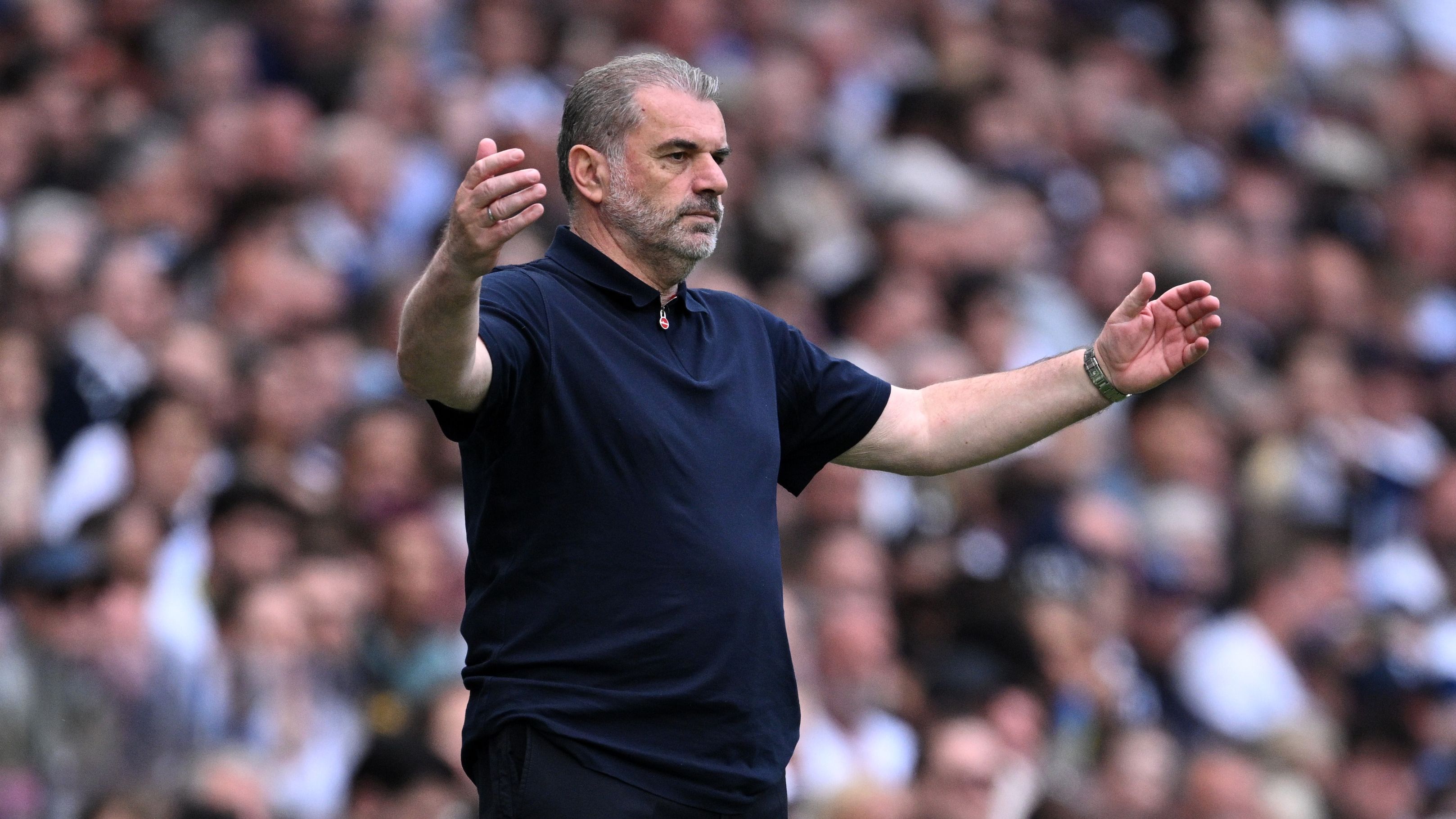 Tottenham Hotspur FC v Brighton & Hove Albion FC - Premier League