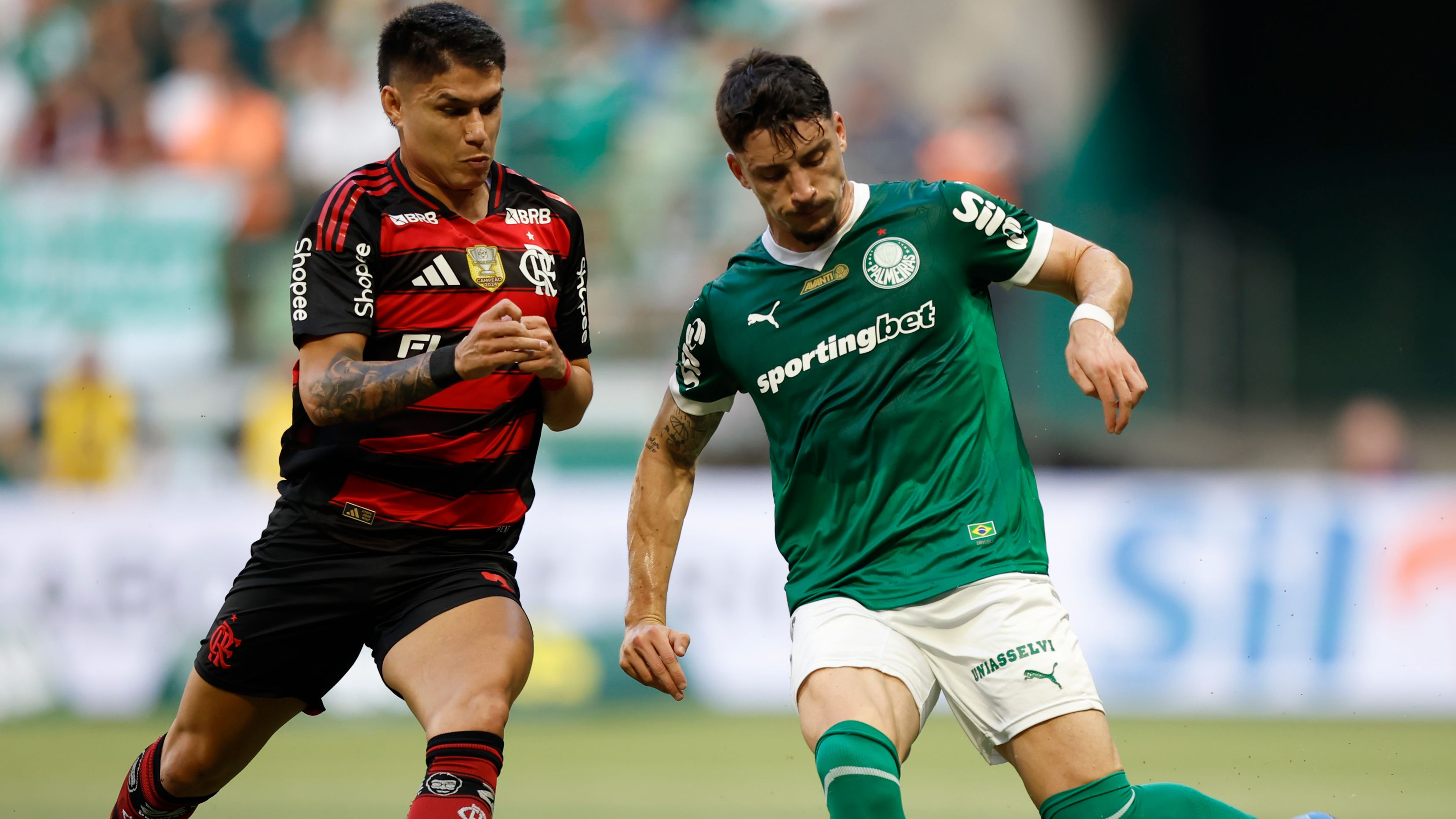 Palmeiras v Flamengo - Brasileirao 2025