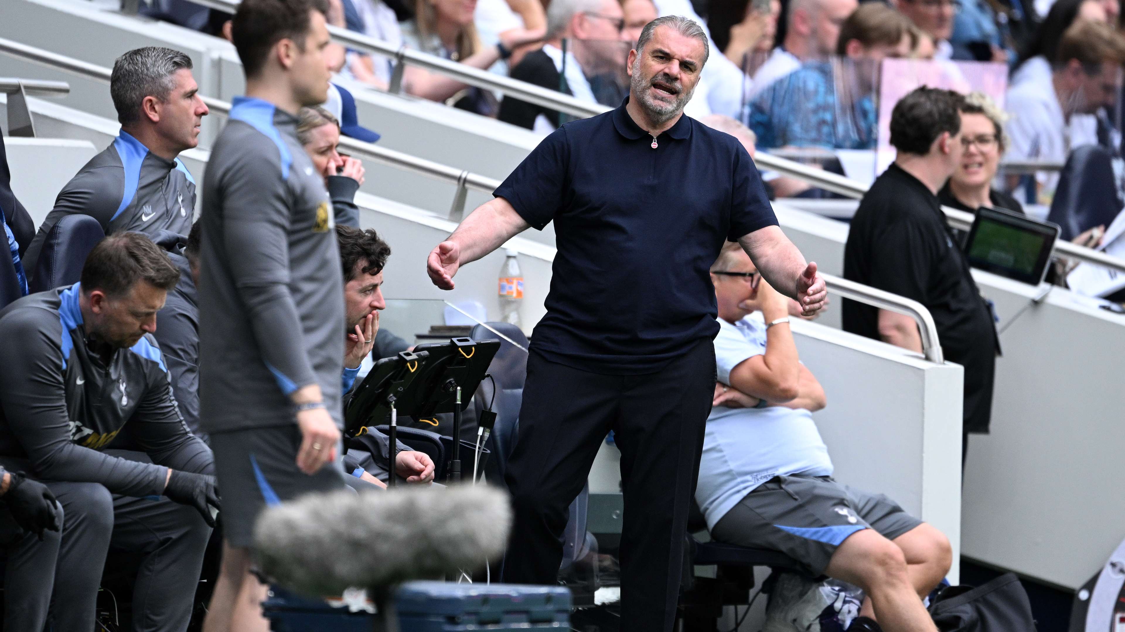 Tottenham Hotspur FC v Brighton & Hove Albion FC - Premier League