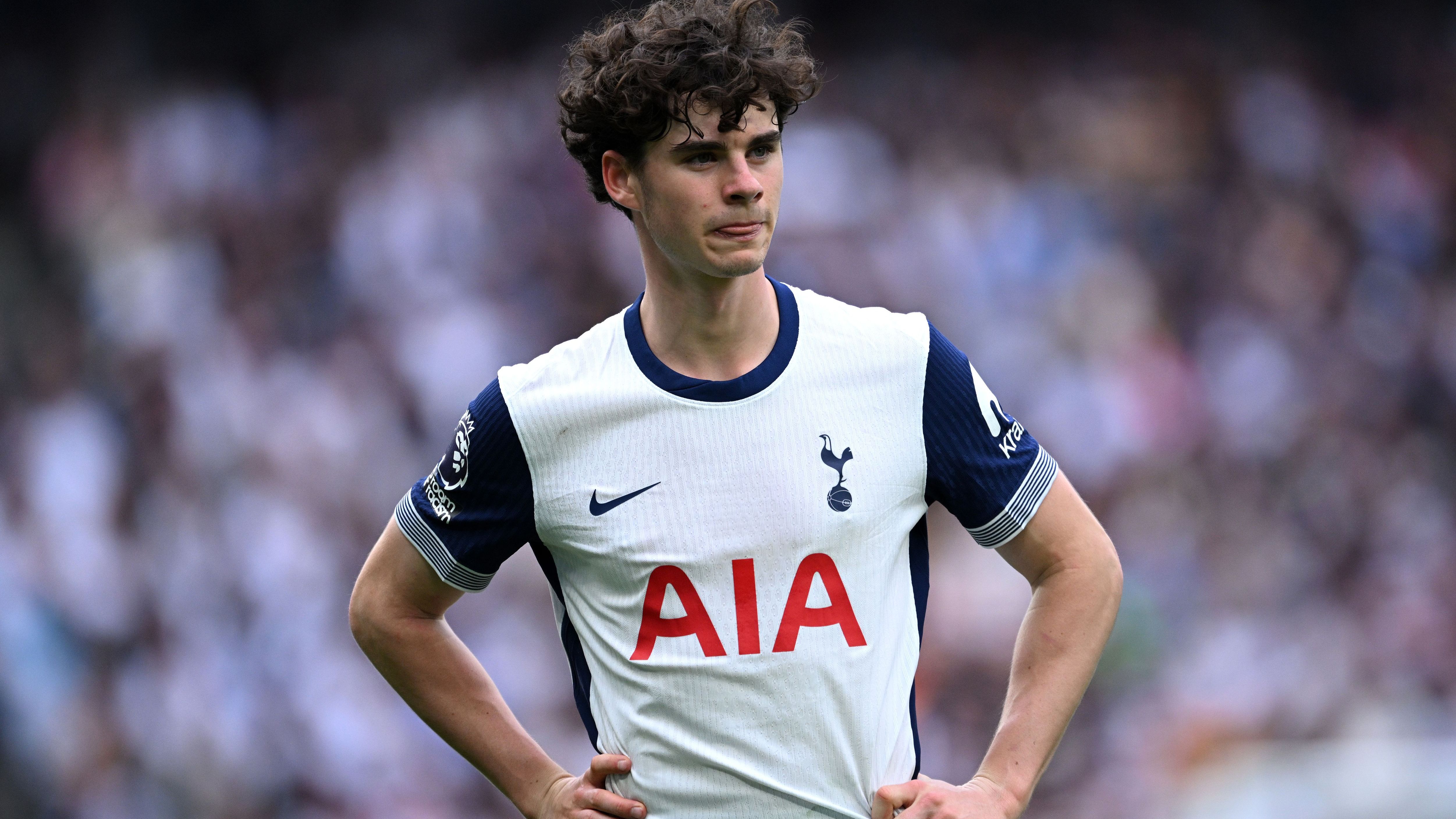 Tottenham Hotspur FC v Brighton & Hove Albion FC - Premier League