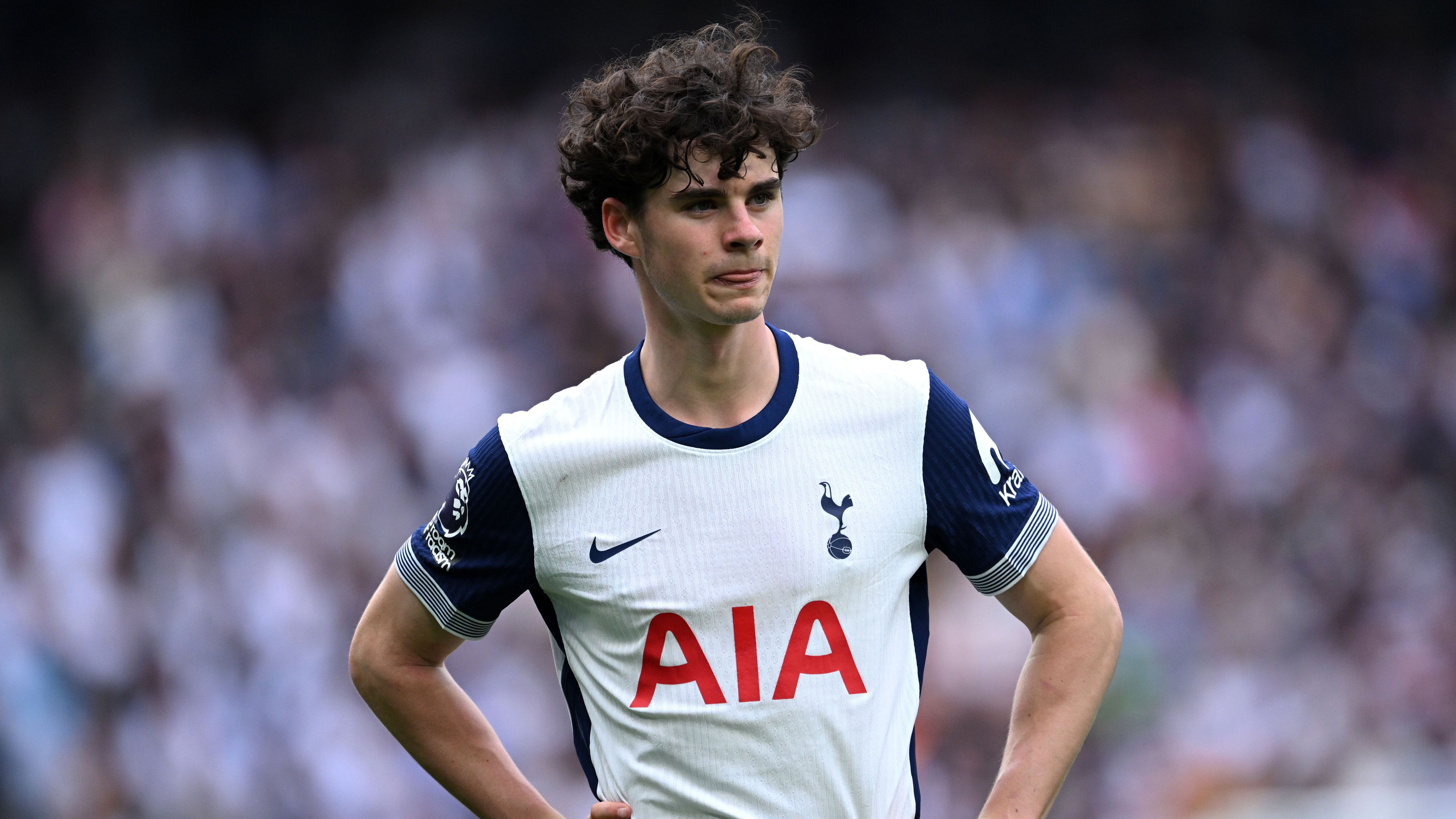 Tottenham Hotspur FC v Brighton & Hove Albion FC - Premier League