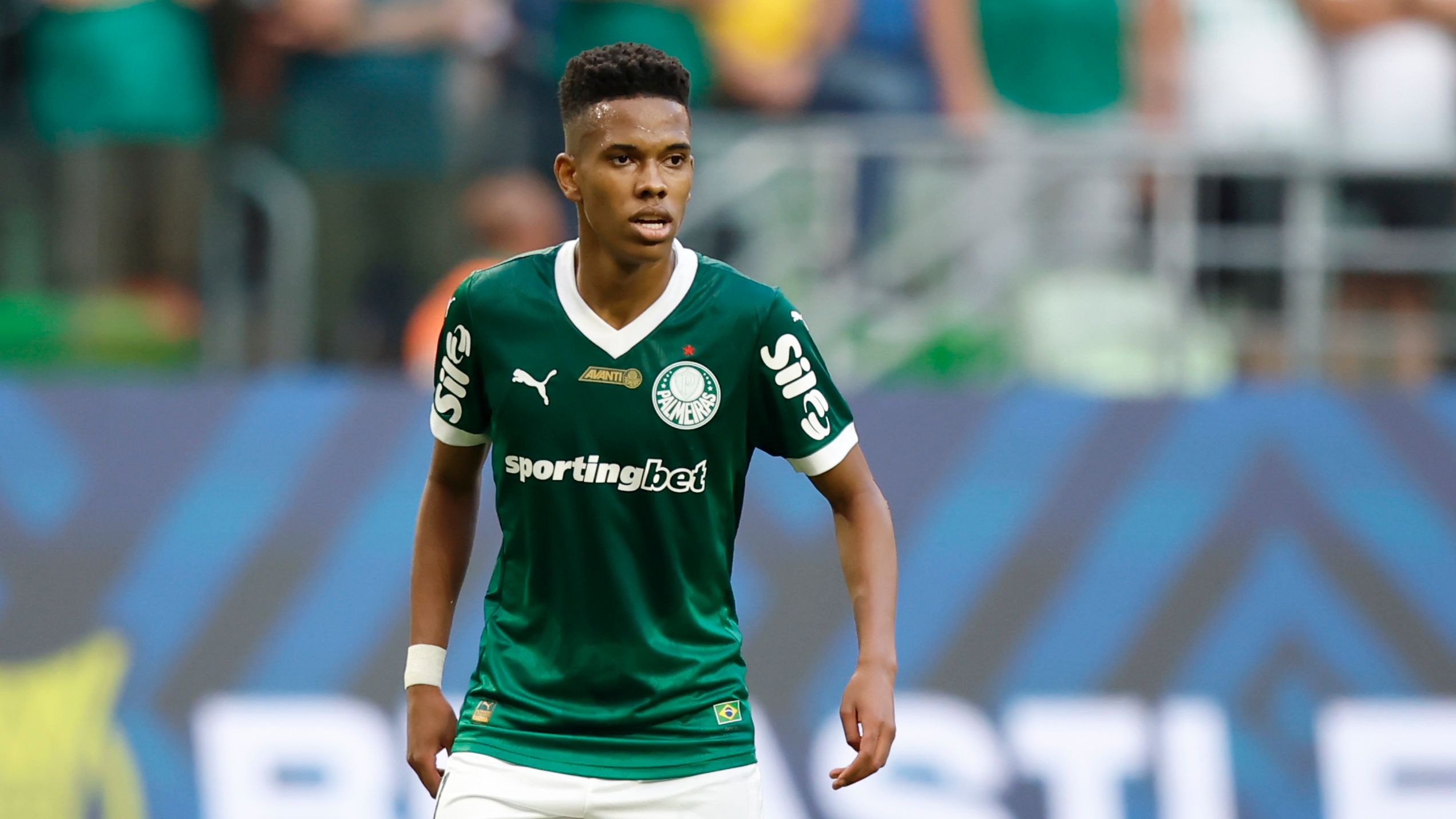 Palmeiras v Flamengo - Brasileirao 2025