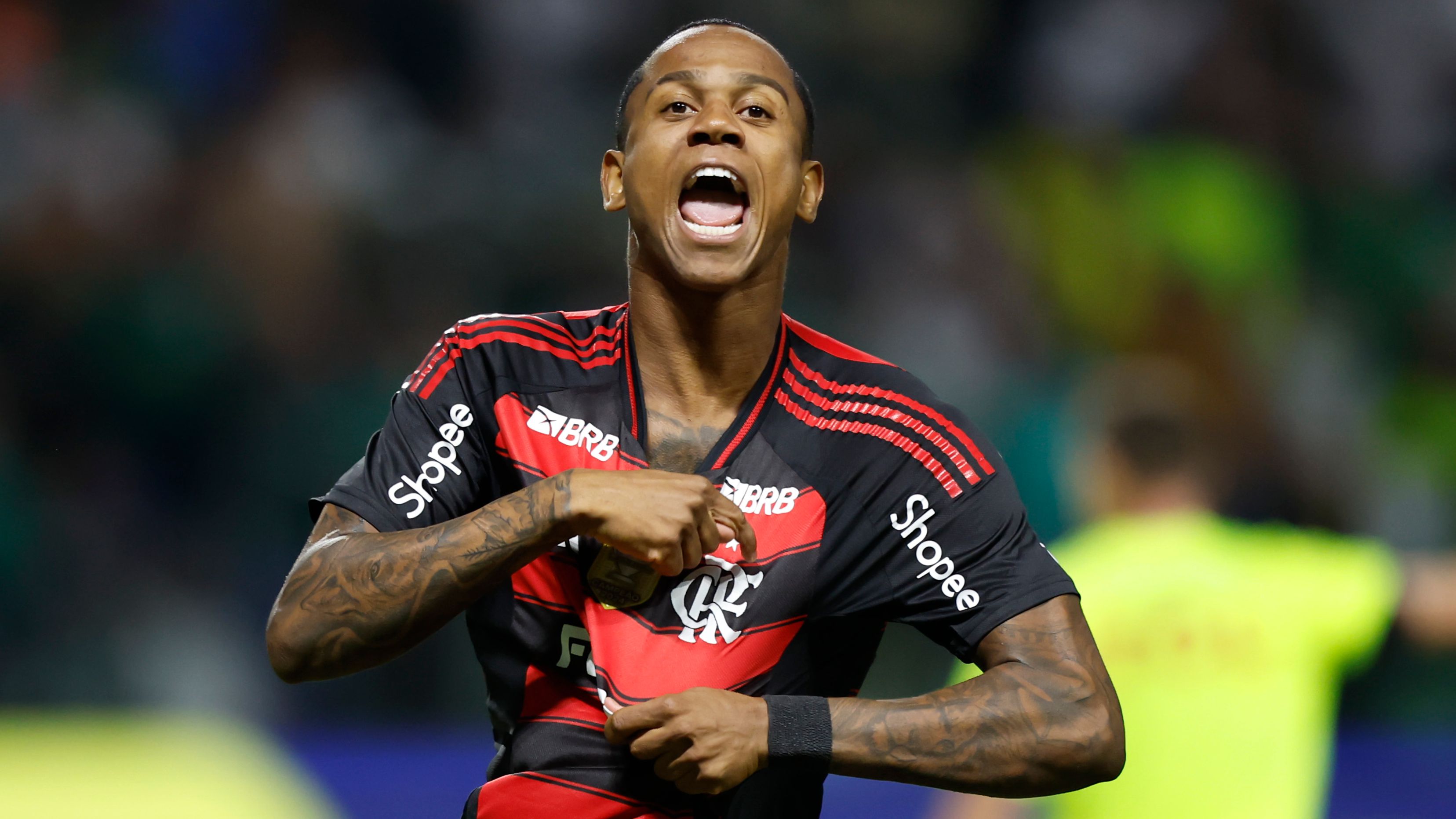 Palmeiras v Flamengo - Brasileirao 2025