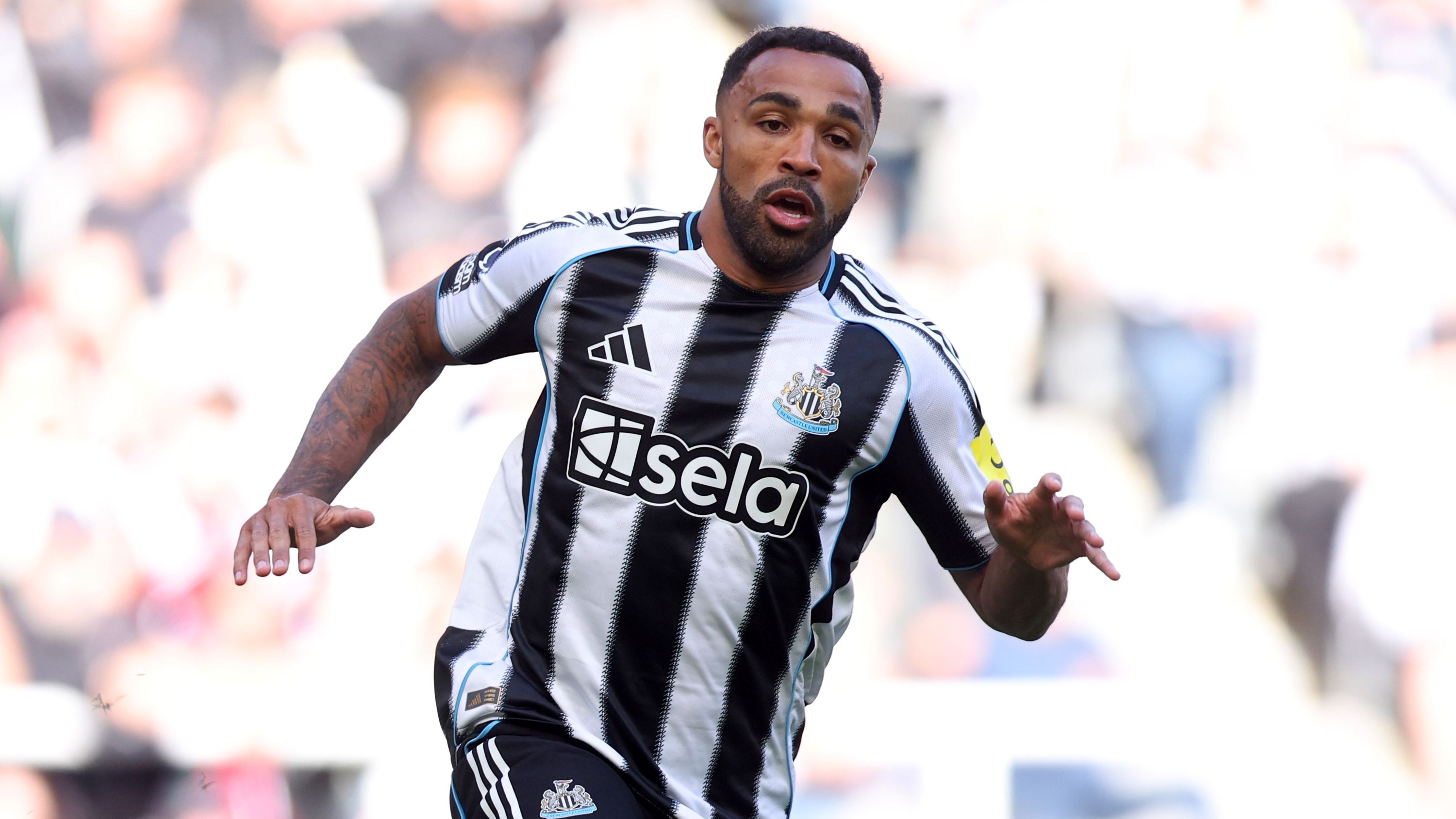 Newcastle United FC v Everton FC - Premier League