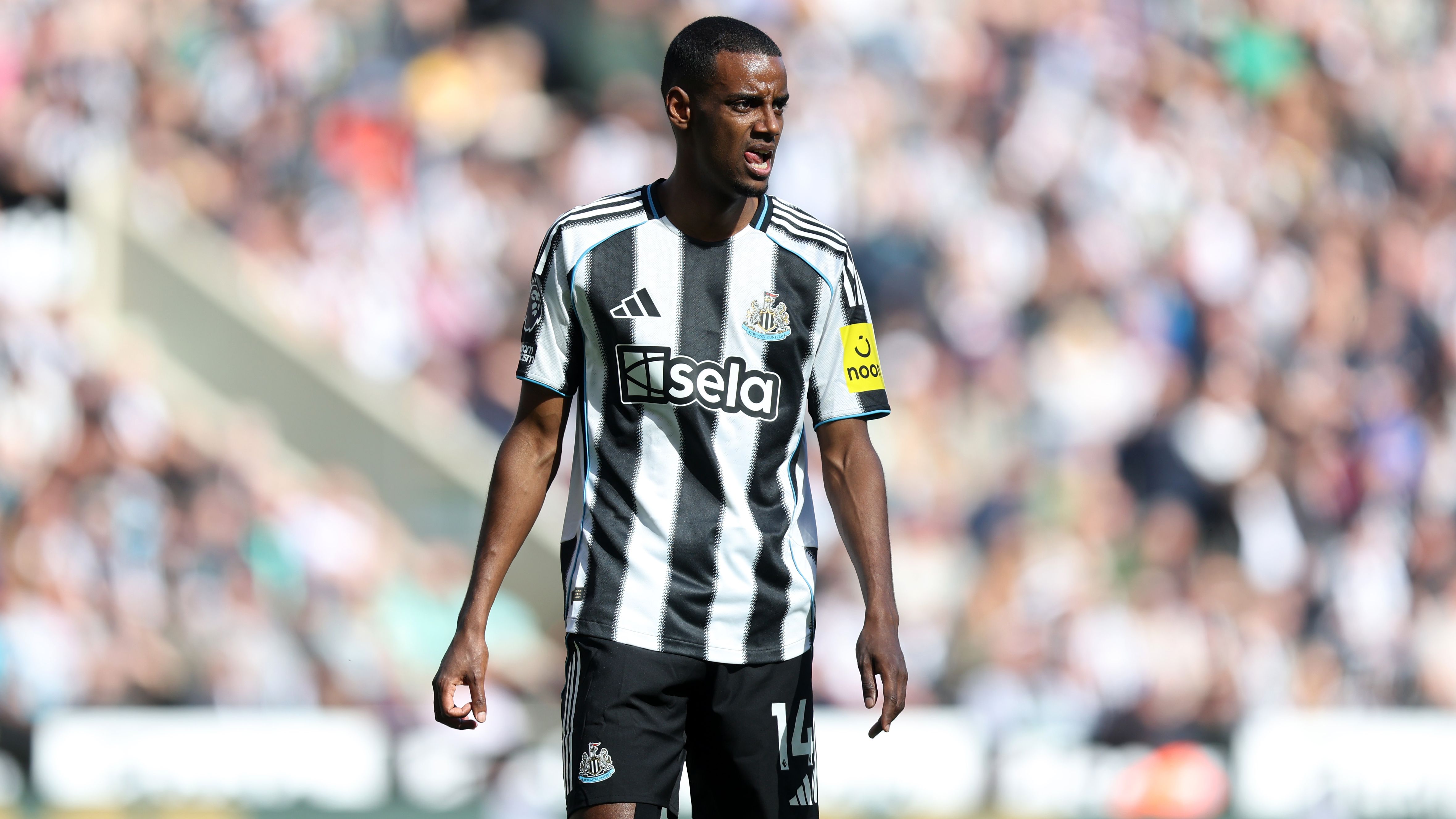 Newcastle United FC v Everton FC - Premier League