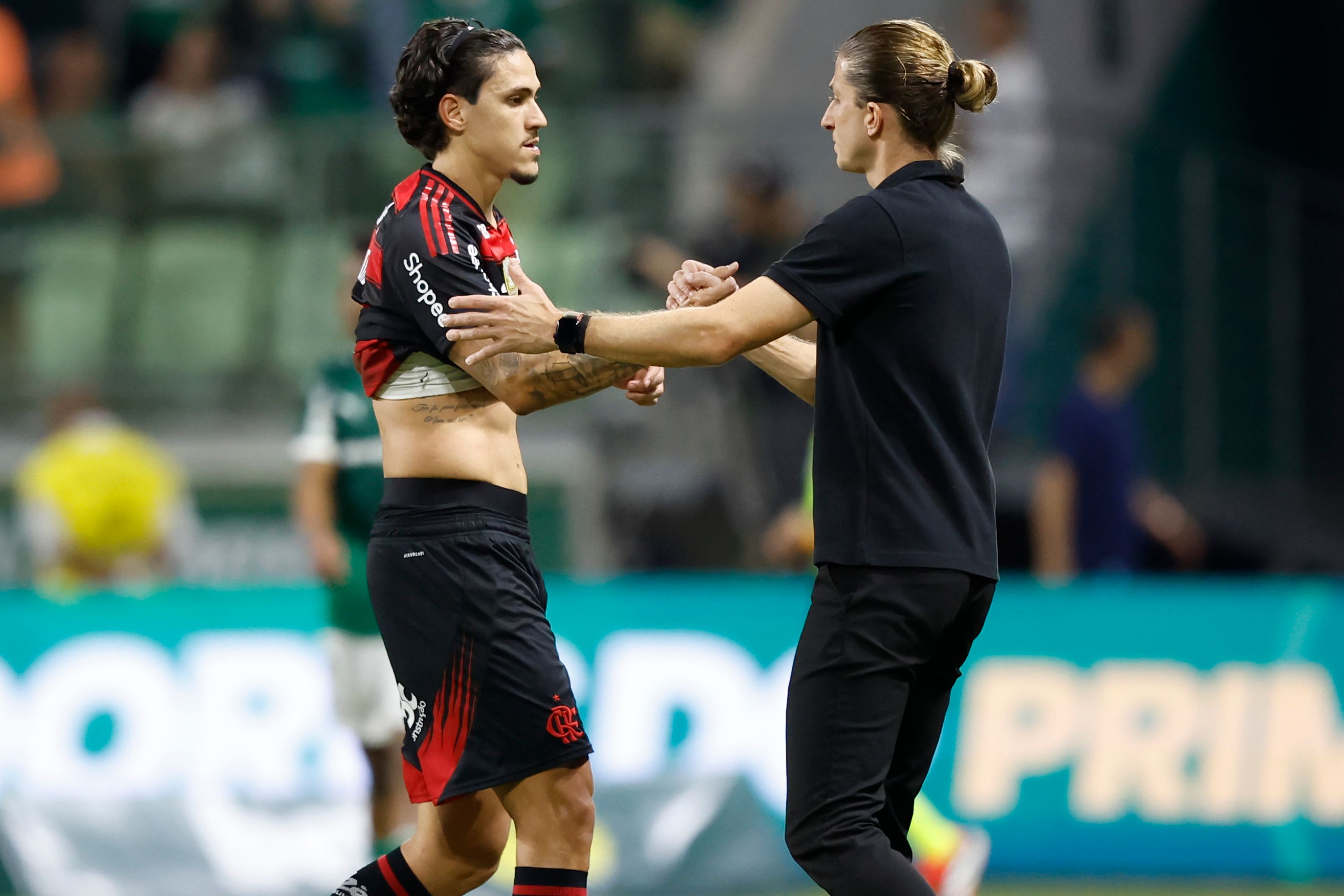 Palmeiras v Flamengo - Brasileirao 2025