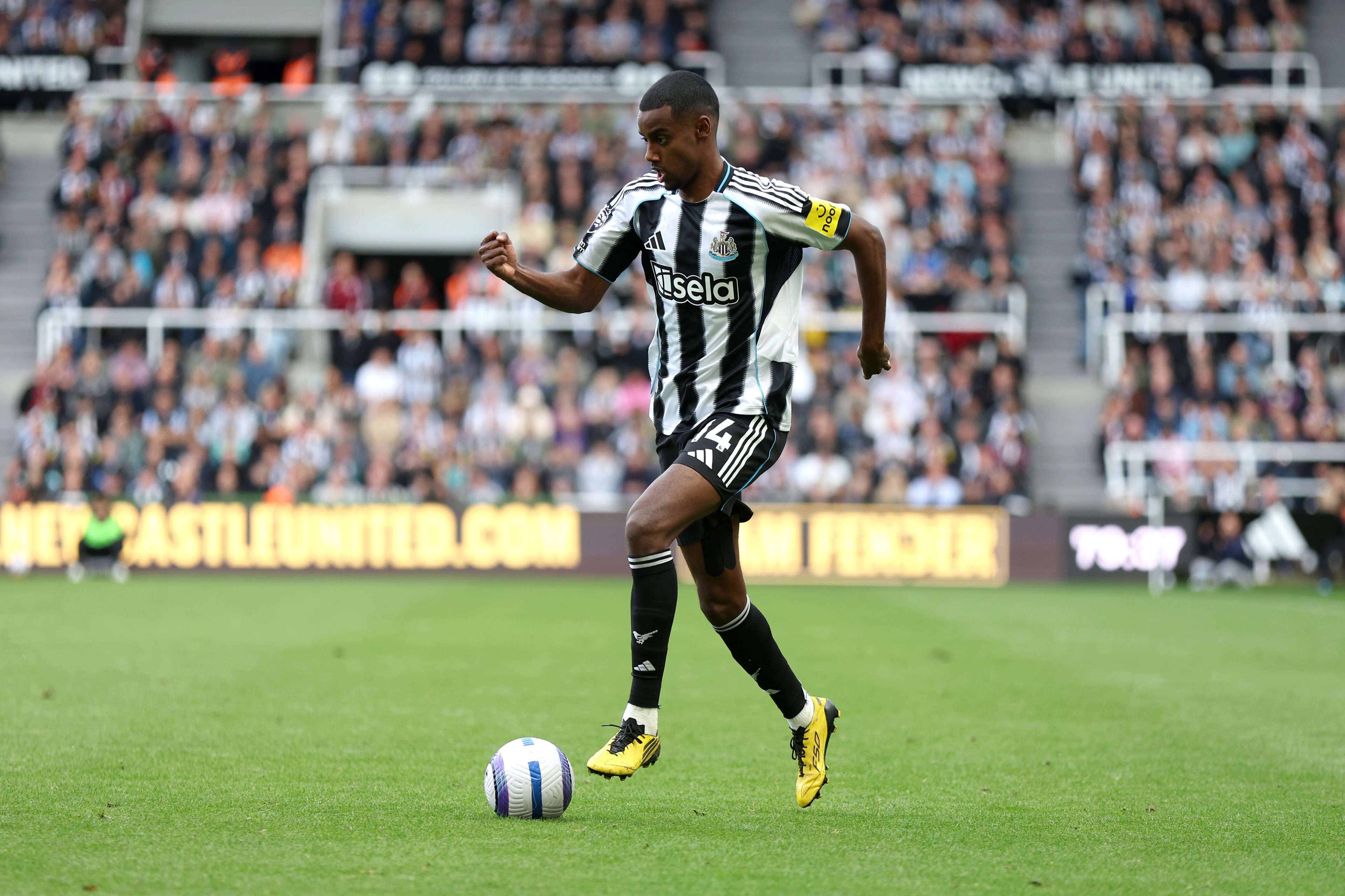 Newcastle United FC v Everton FC - Premier League