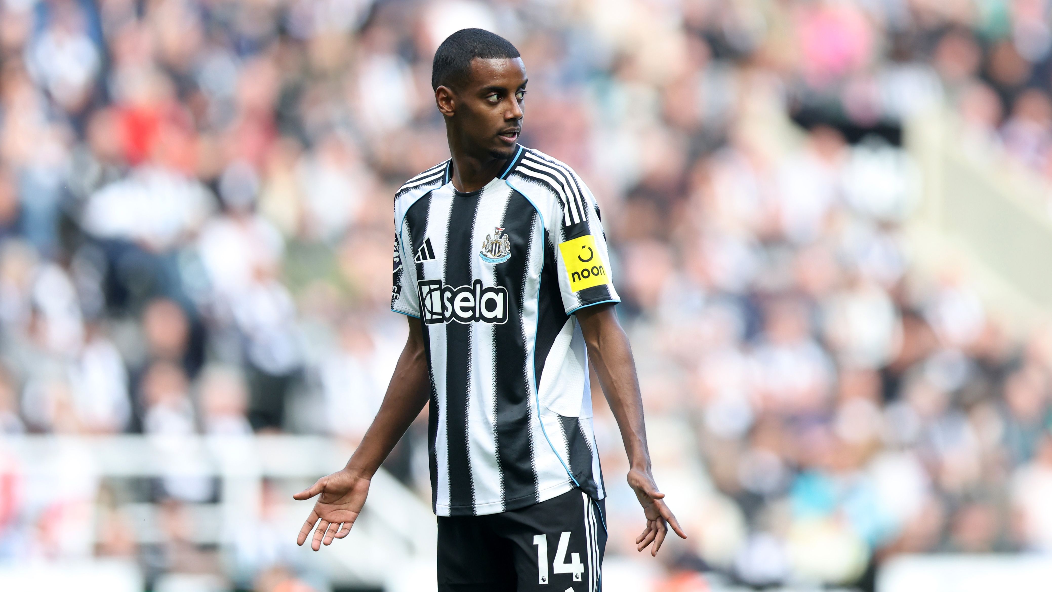 Newcastle United FC v Everton FC - Premier League