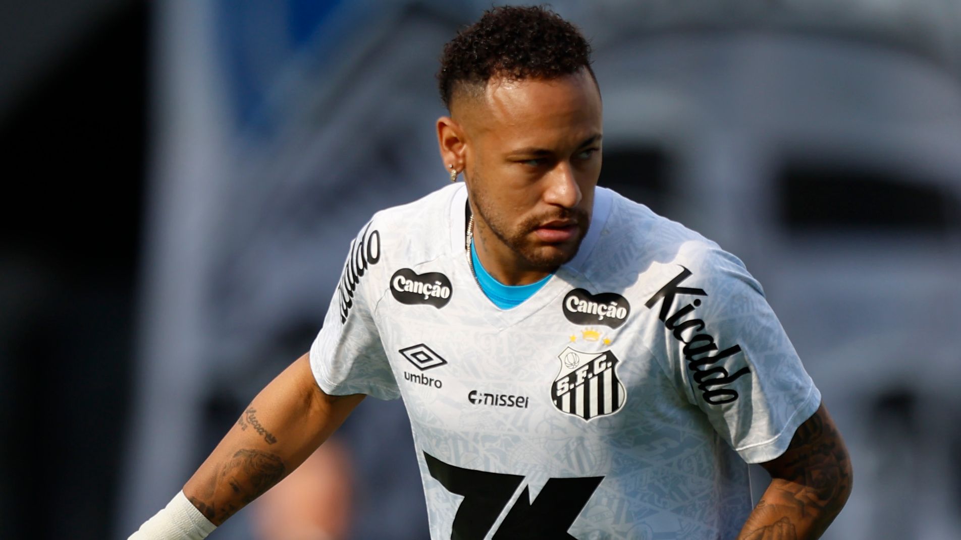 Santos v Botafogo - Brasileirao 2025