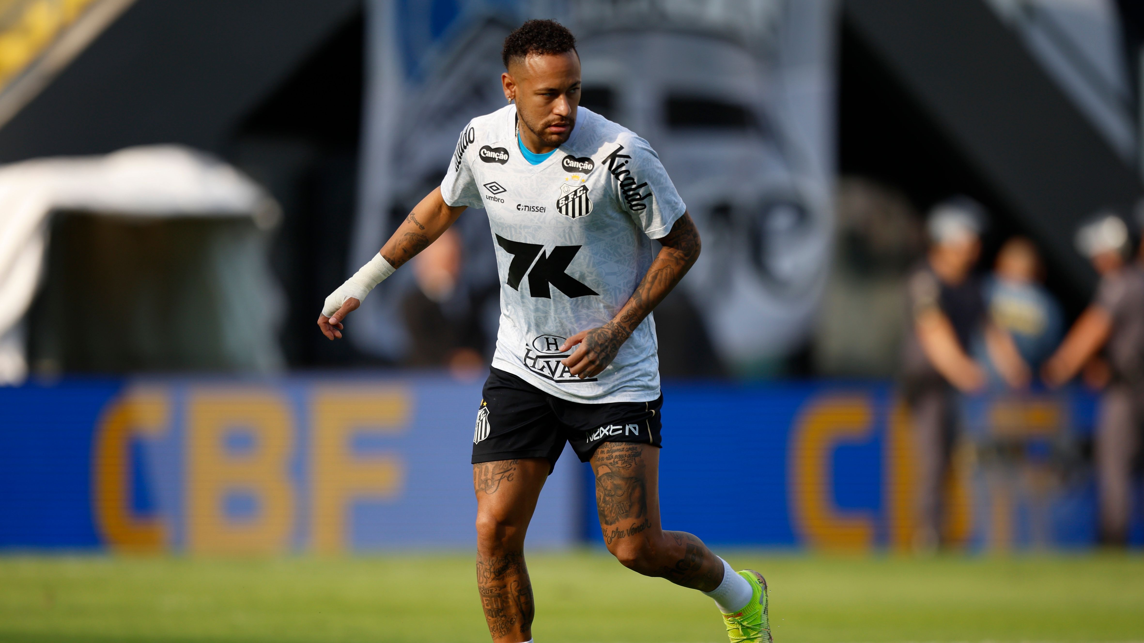 Santos v Botafogo - Brasileirao 2025