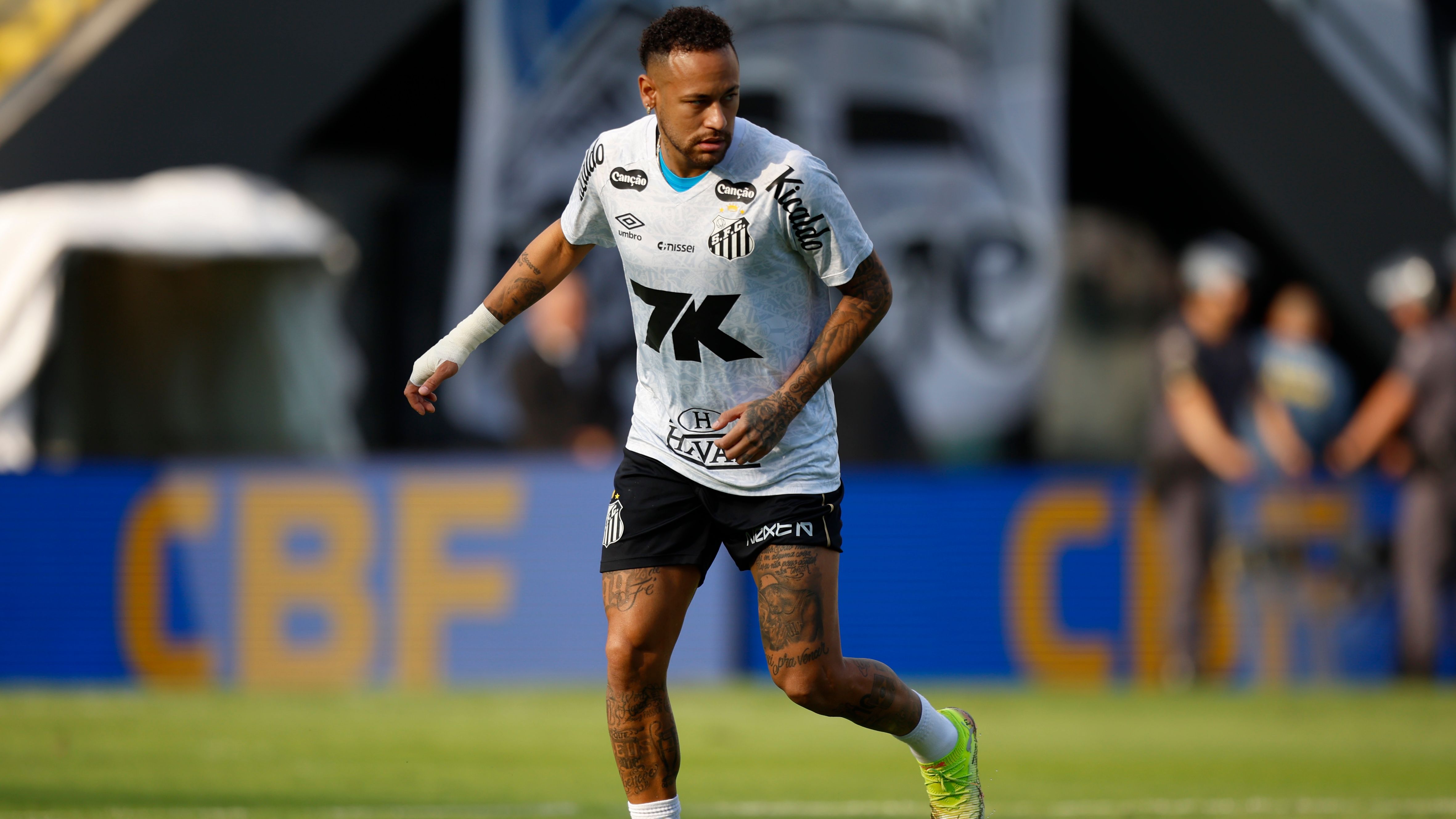 Santos v Botafogo - Brasileirao 2025