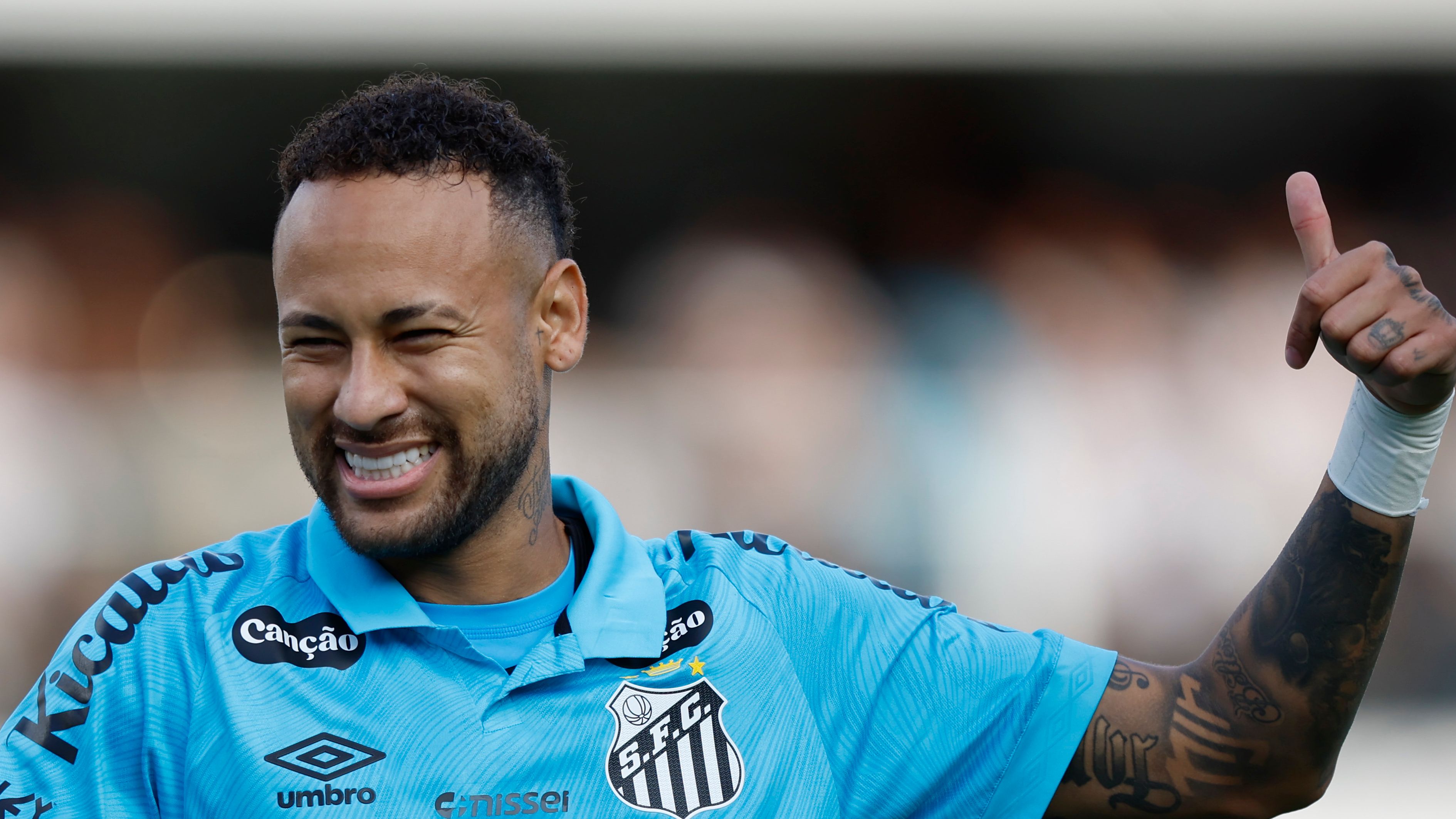 Santos v Botafogo - Brasileirao 2025