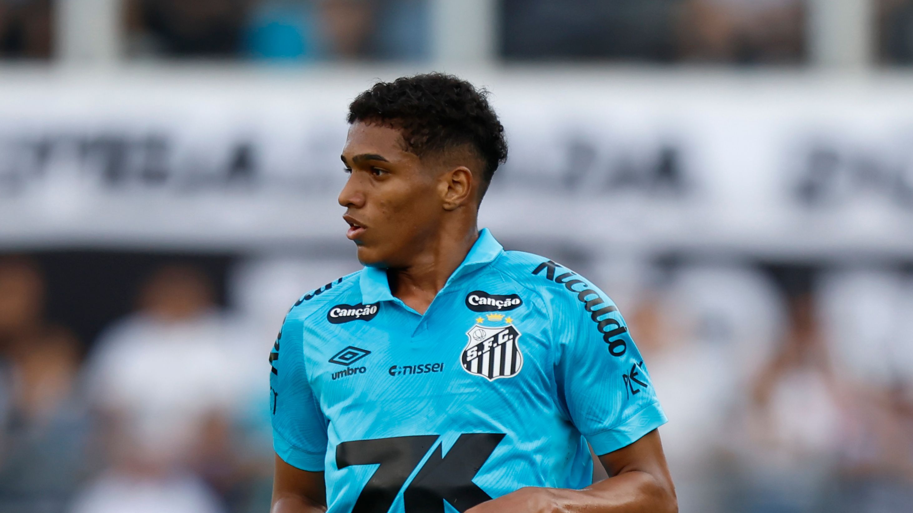 Santos v Botafogo - Brasileirao 2025