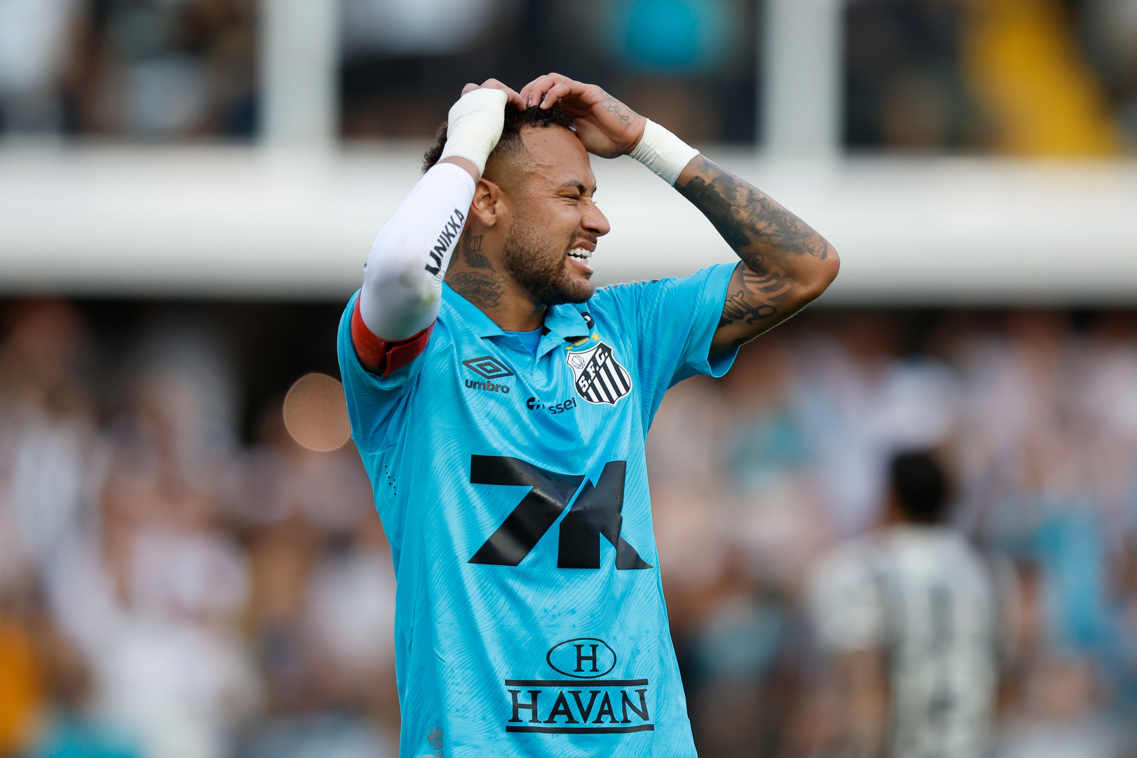 Santos v Botafogo - Brasileirao 2025