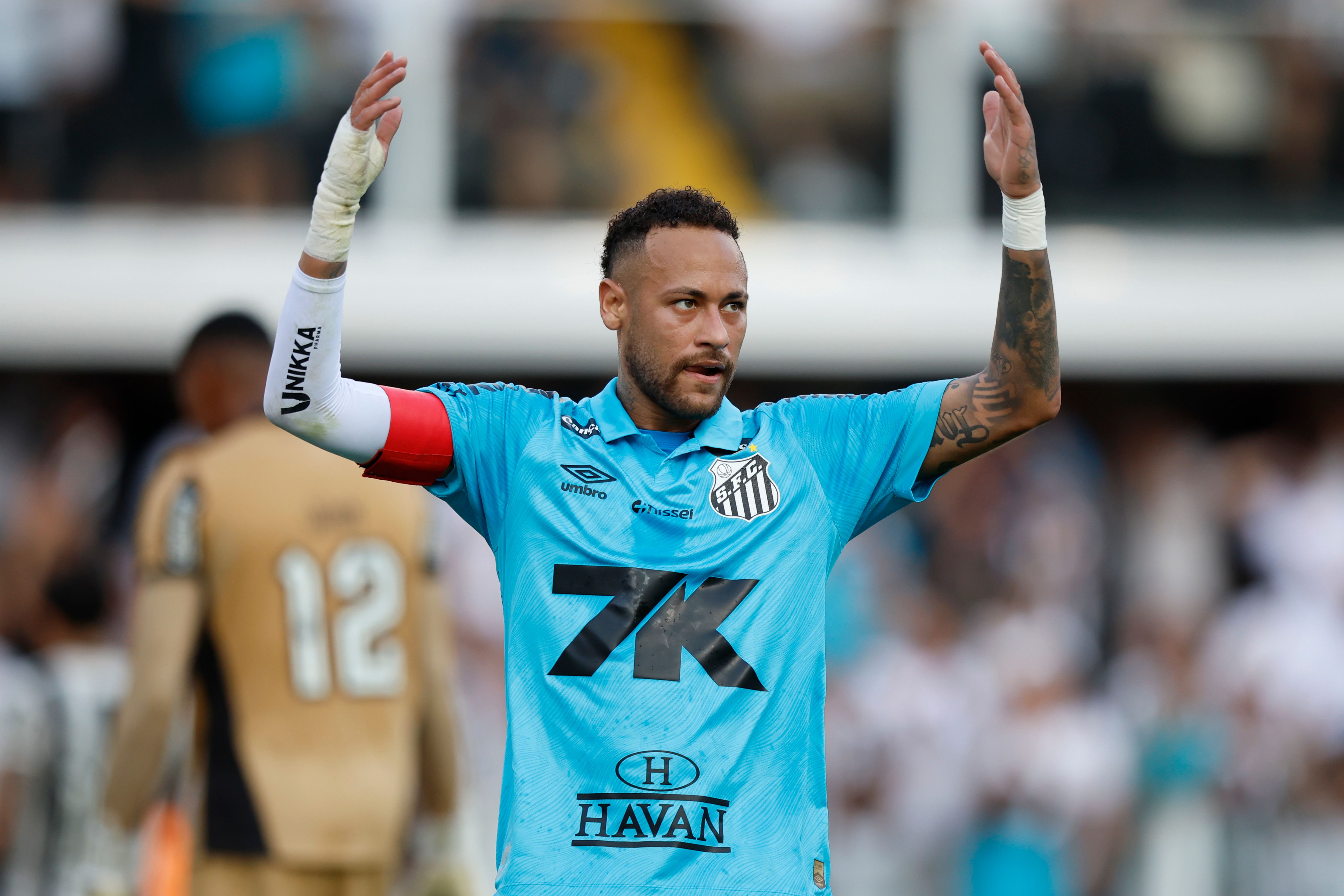 Santos v Botafogo - Brasileirao 2025