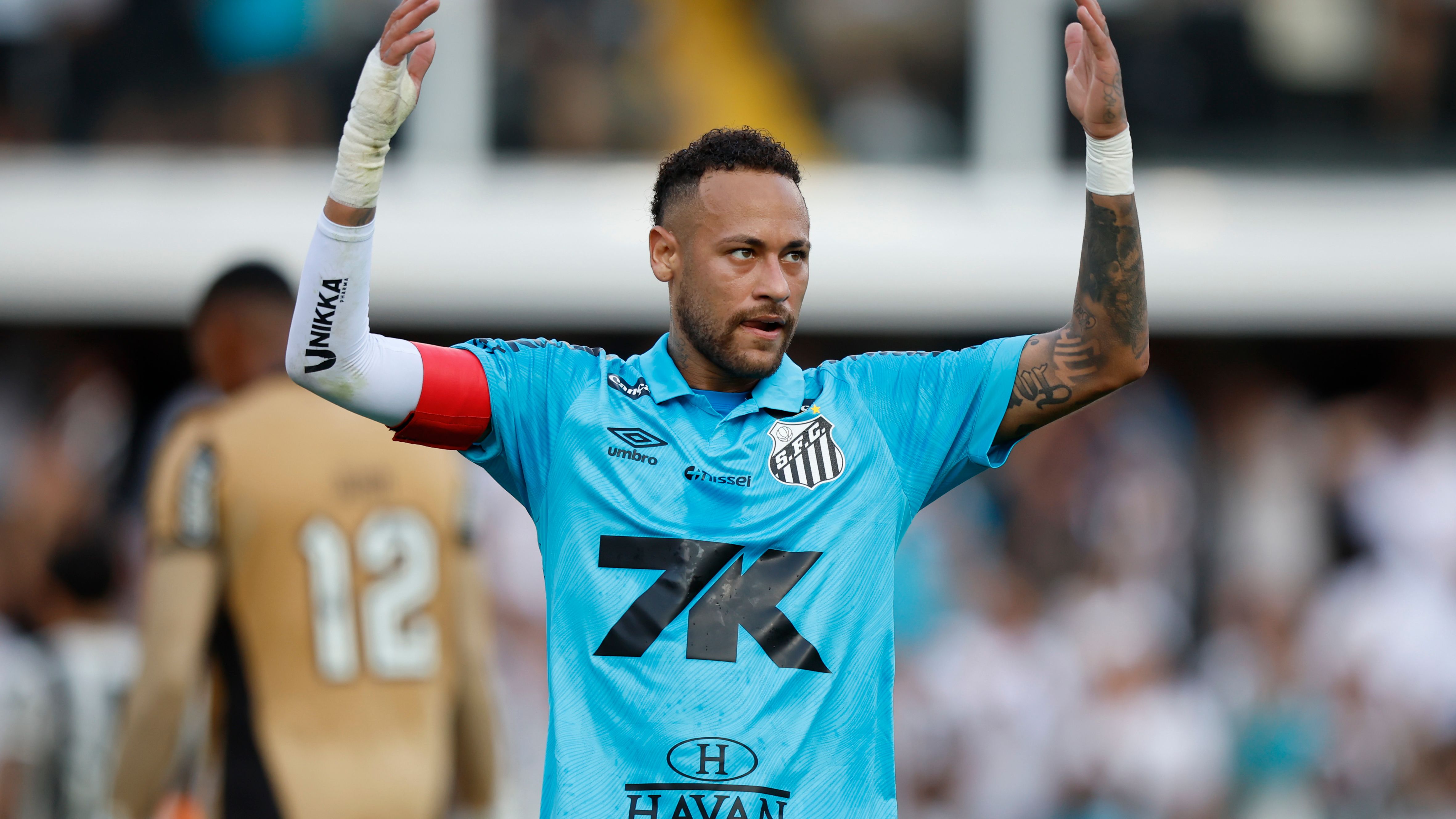 Santos v Botafogo - Brasileirao 2025