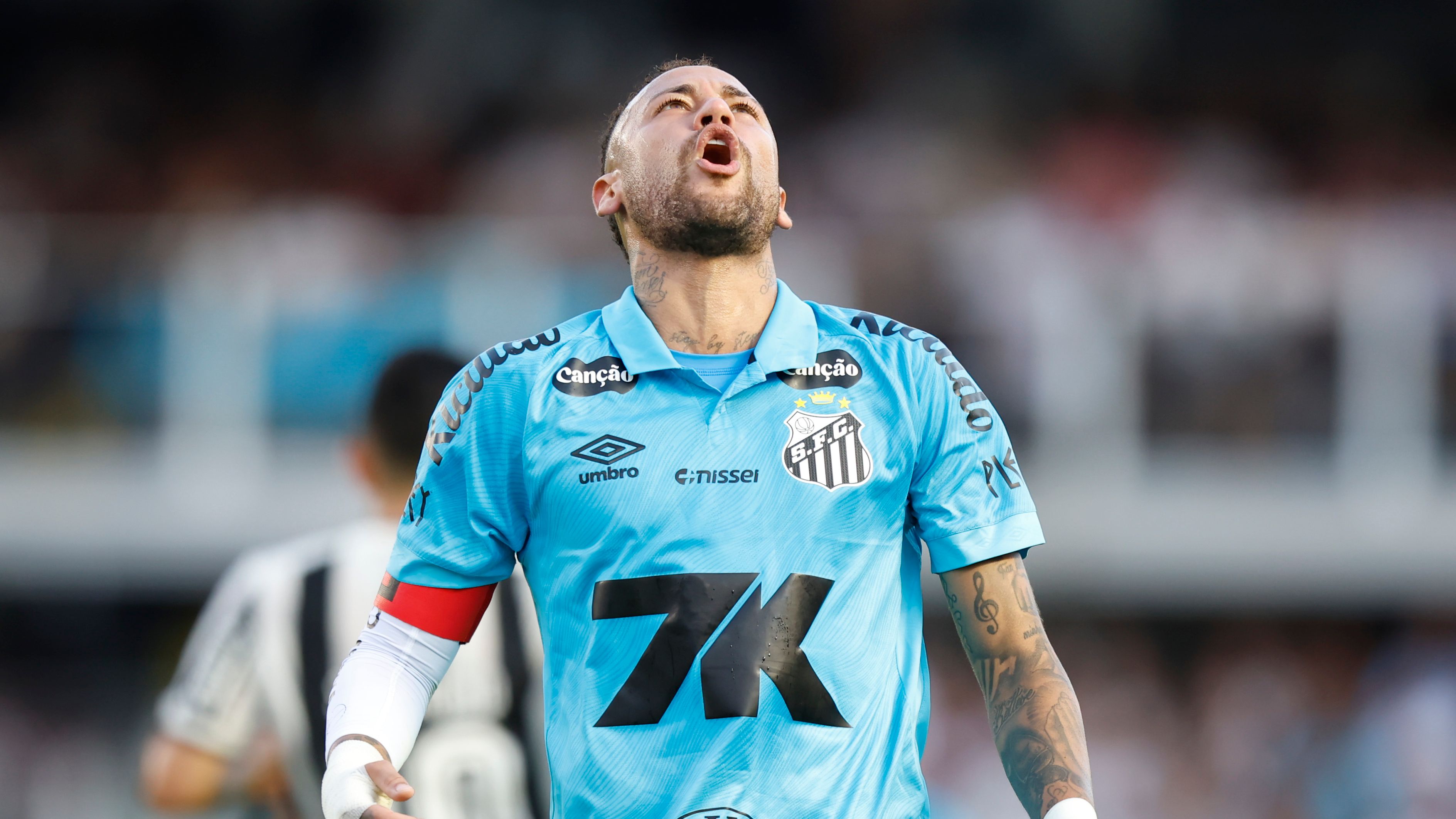 Santos v Botafogo - Brasileirao 2025