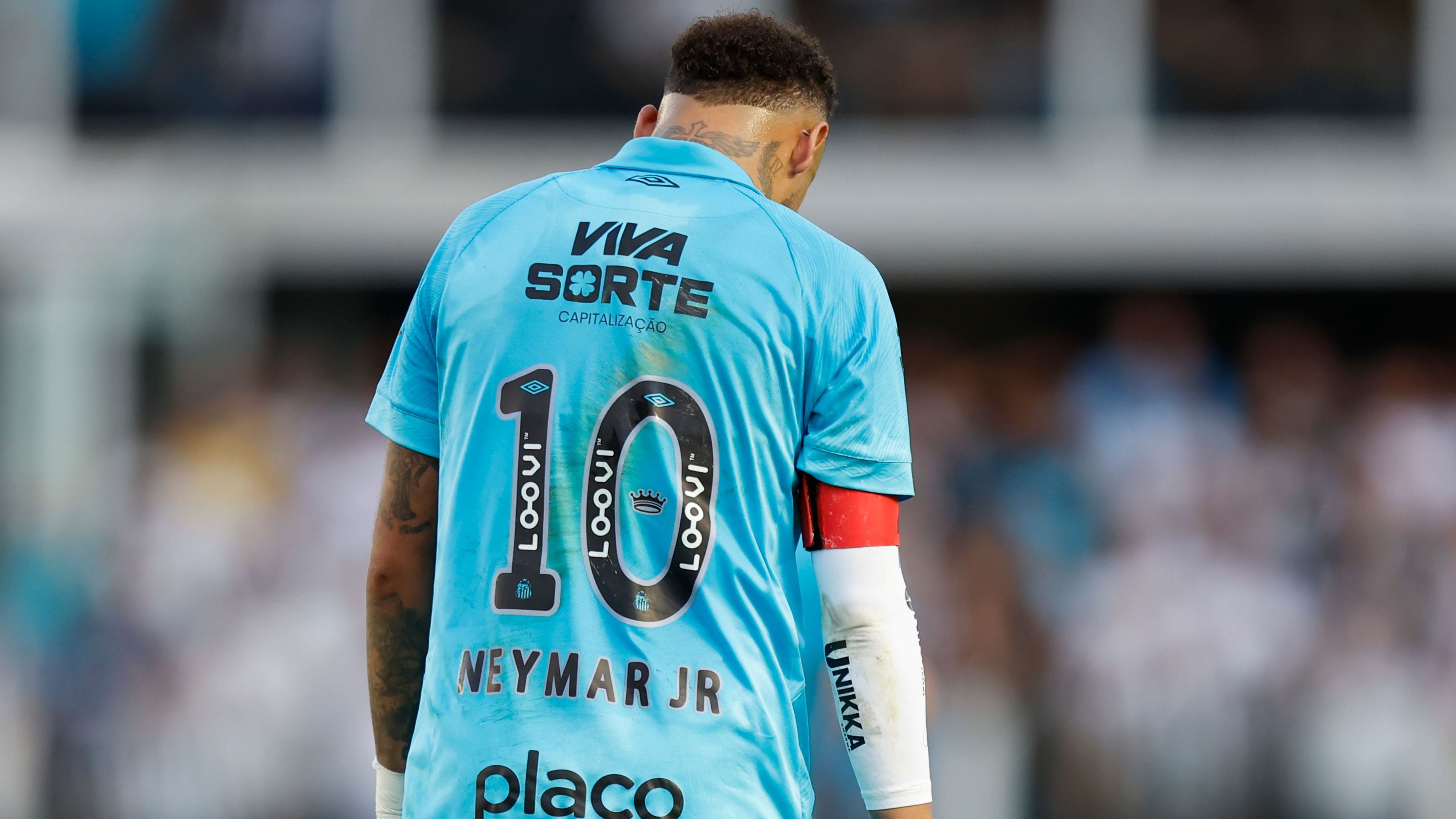 Santos v Botafogo - Brasileirao 2025