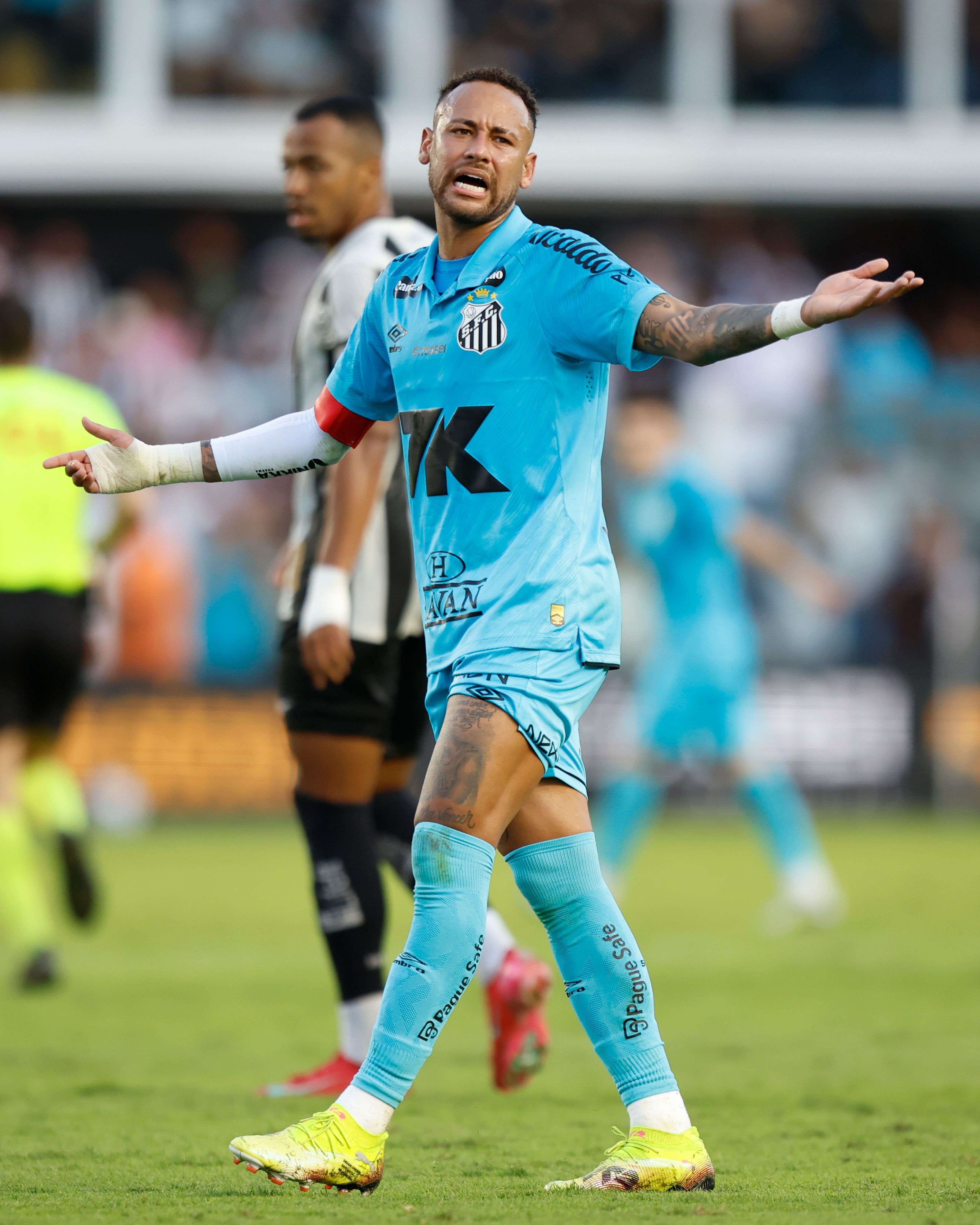 Santos v Botafogo - Brasileirao 2025