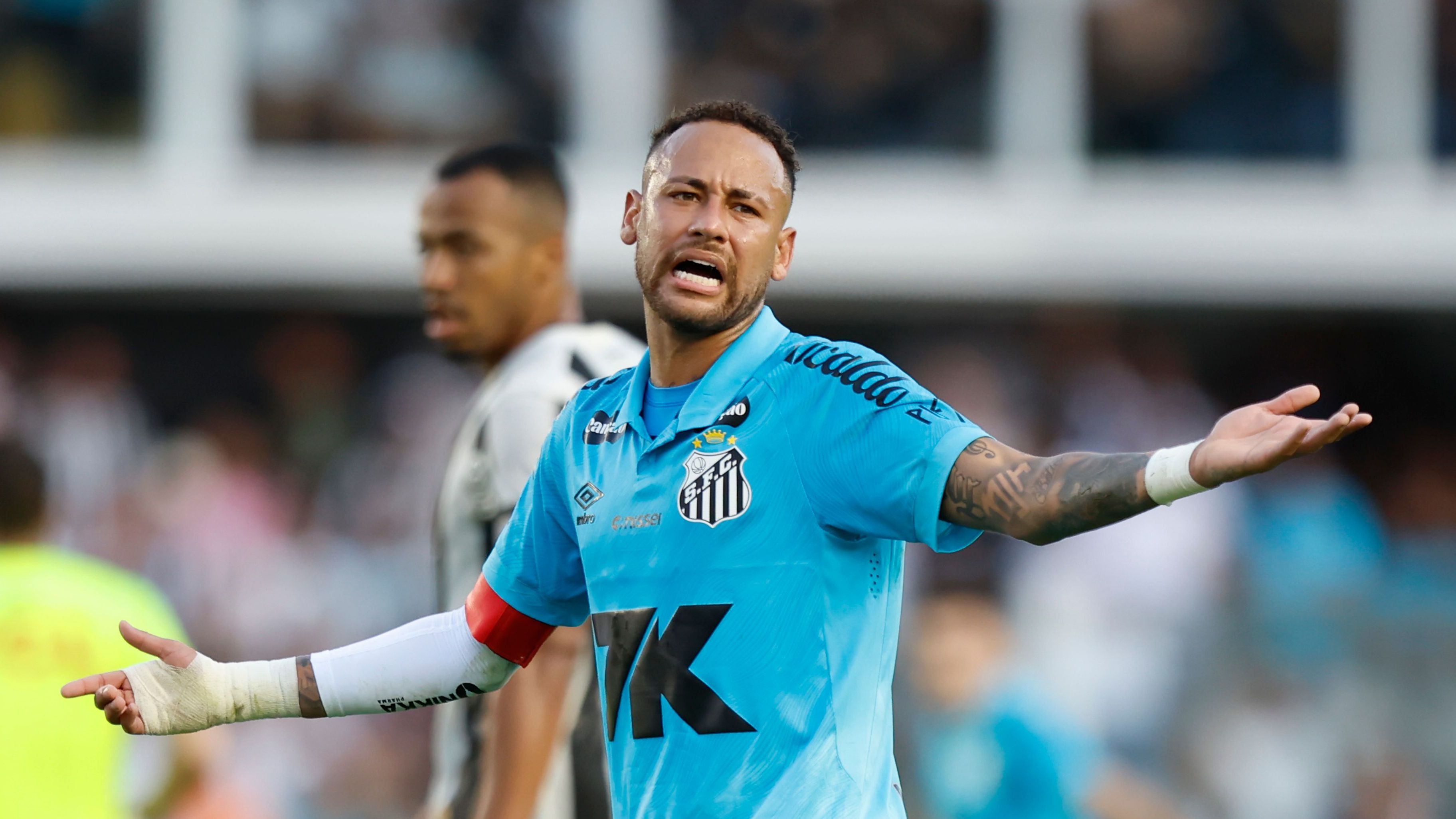 Santos v Botafogo - Brasileirao 2025