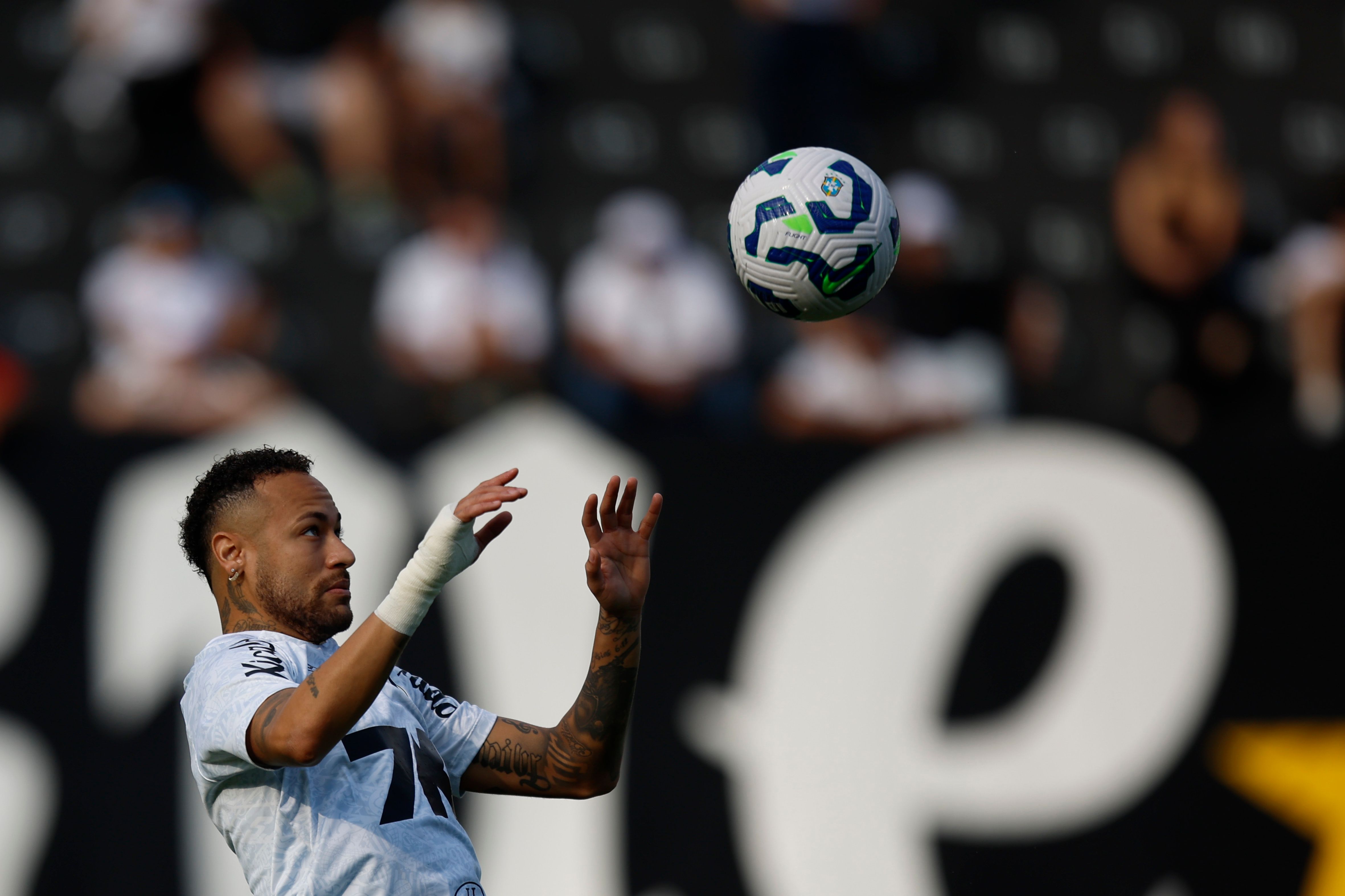 Santos v Botafogo - Brasileirao 2025