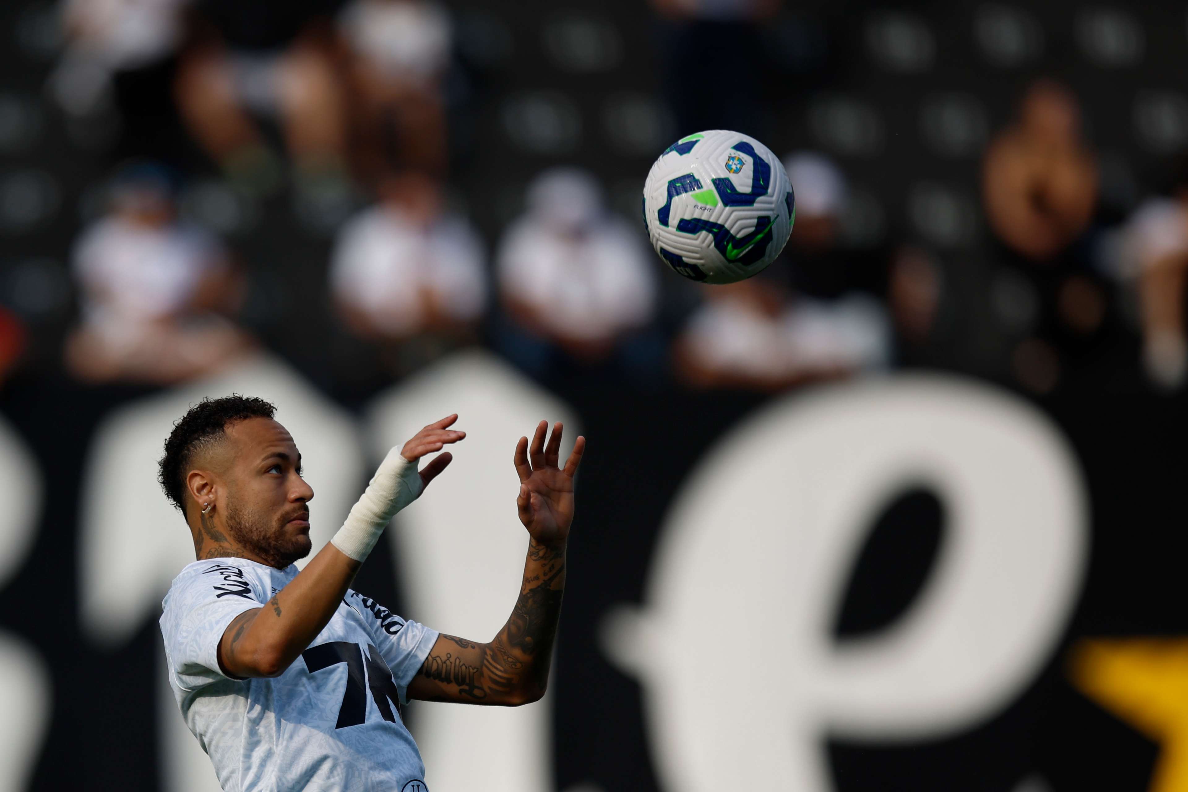 Santos v Botafogo - Brasileirao 2025