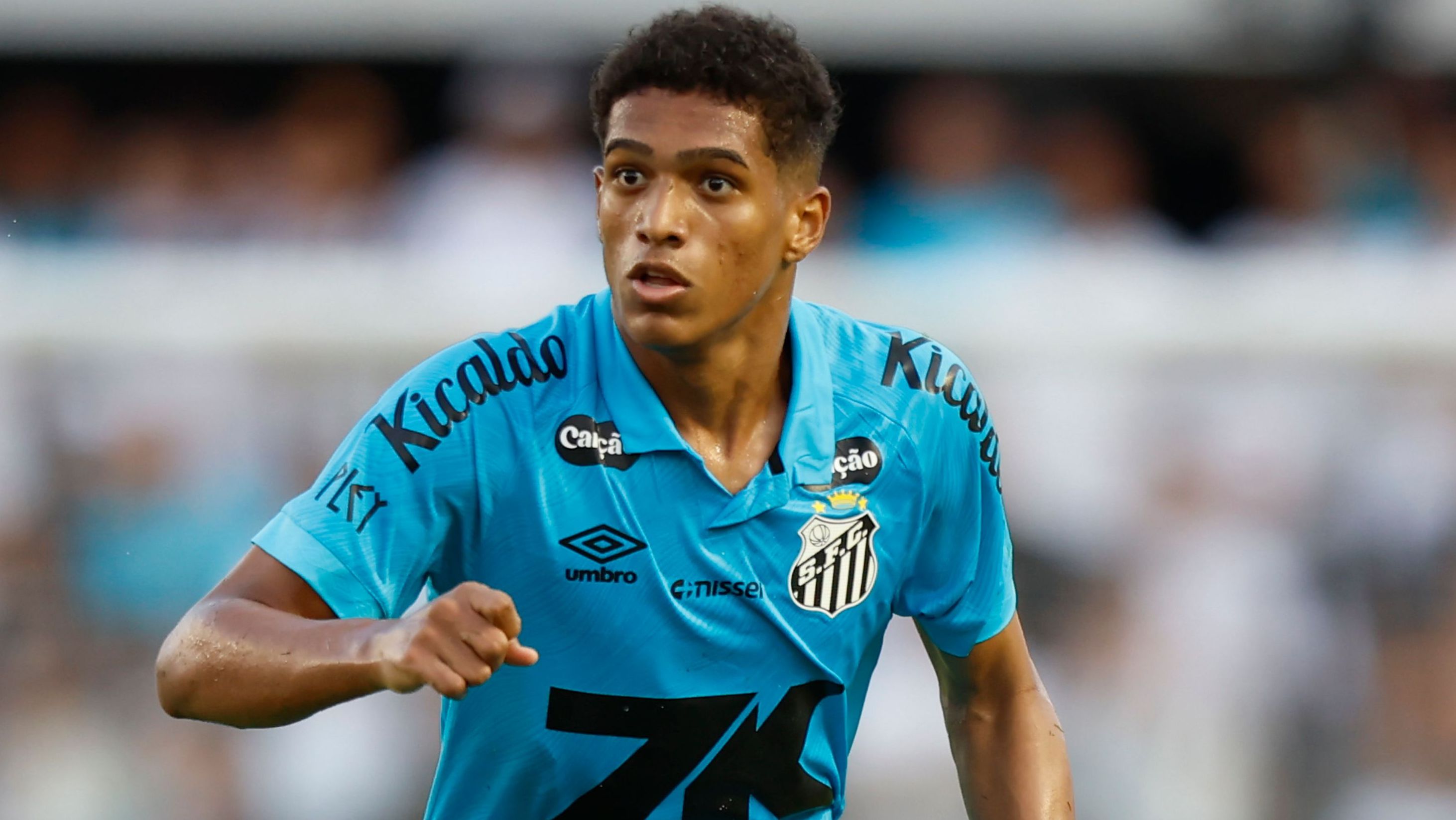 Santos v Botafogo - Brasileirao 2025