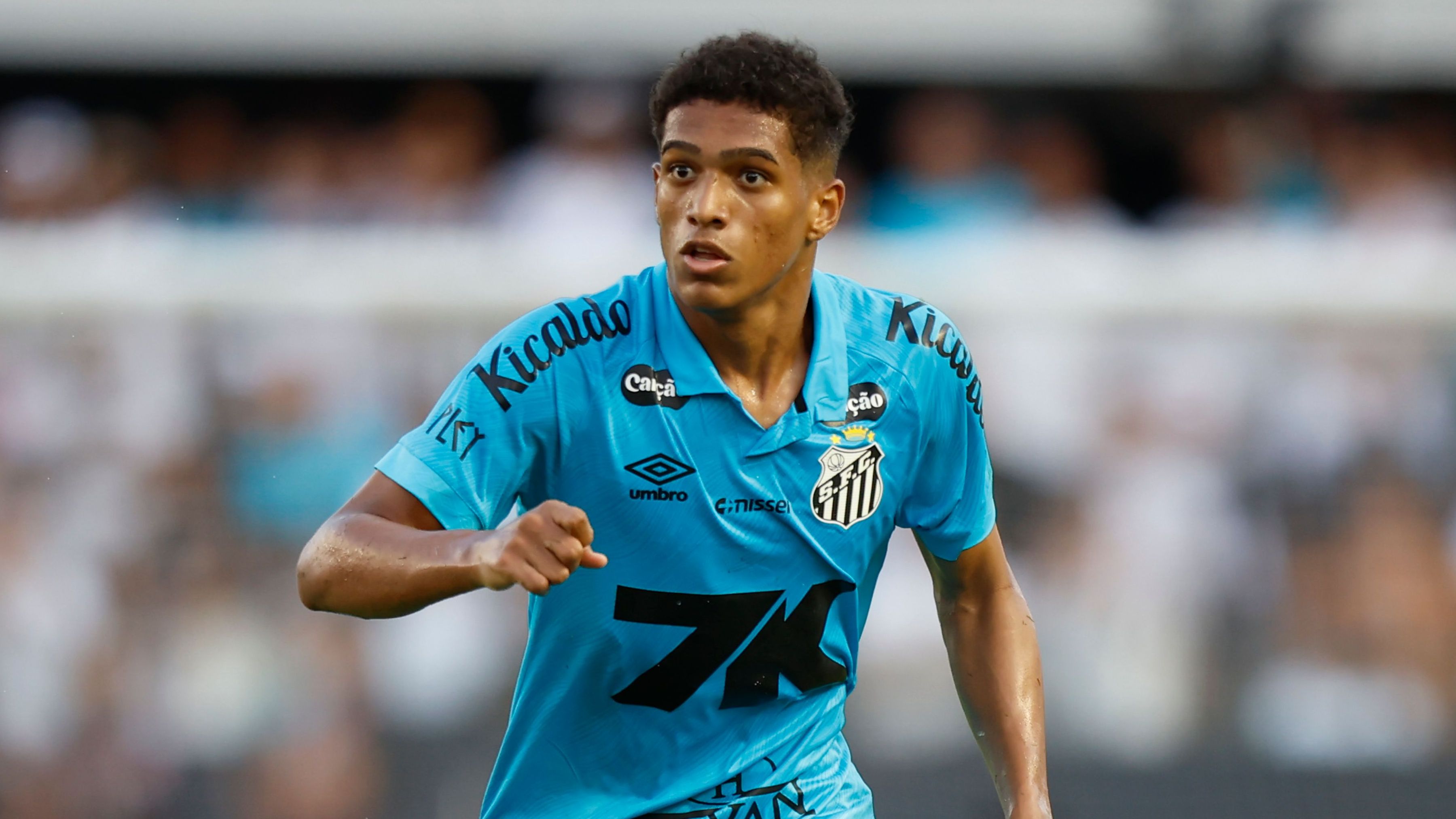 Santos v Botafogo - Brasileirao 2025