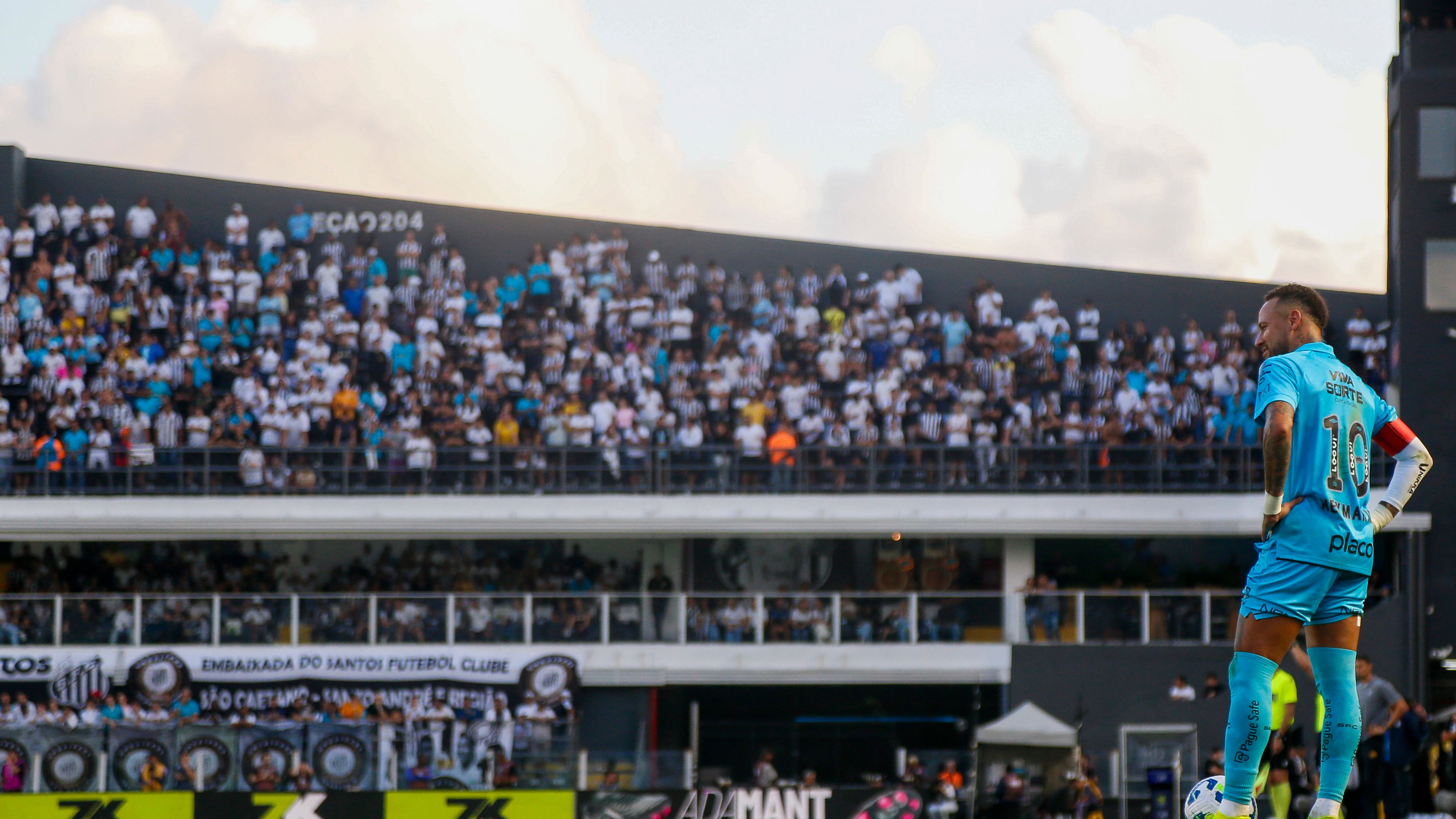 Santos v Botafogo - Brasileirao 2025